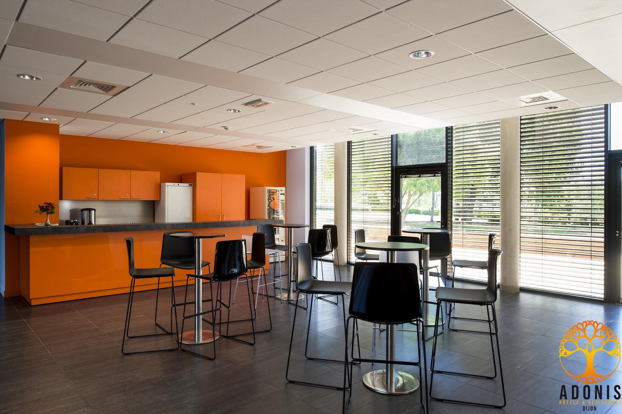 Adonis Dijon Double apartment