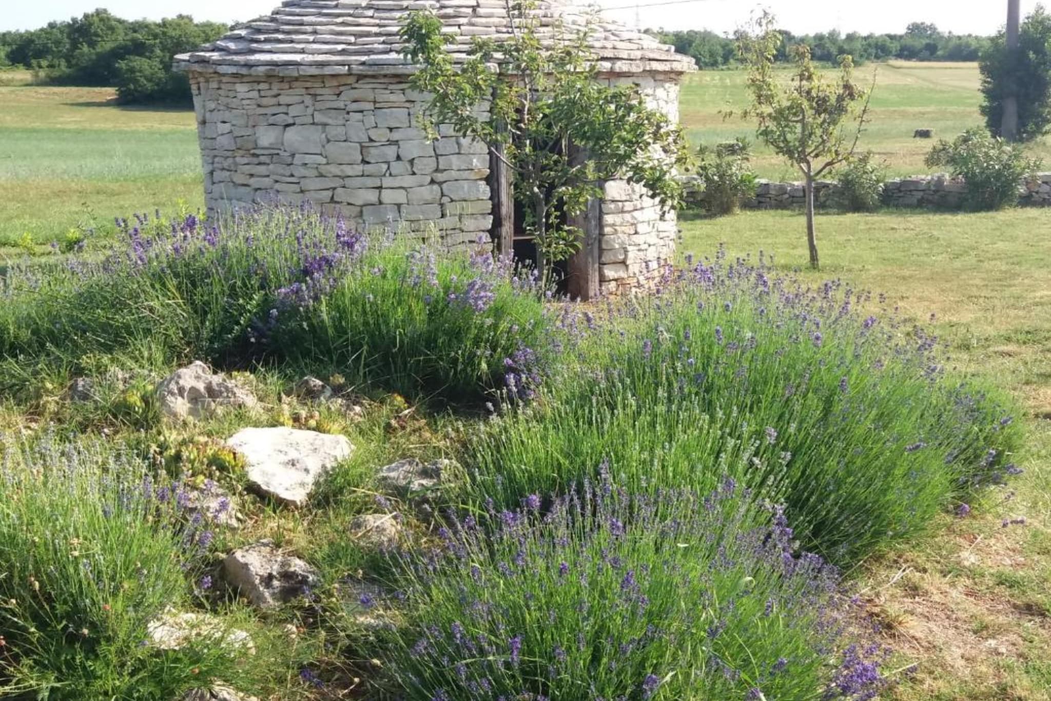 Authentic Istrian Rooms for Unforgettable Stays - Double Room with Balcony