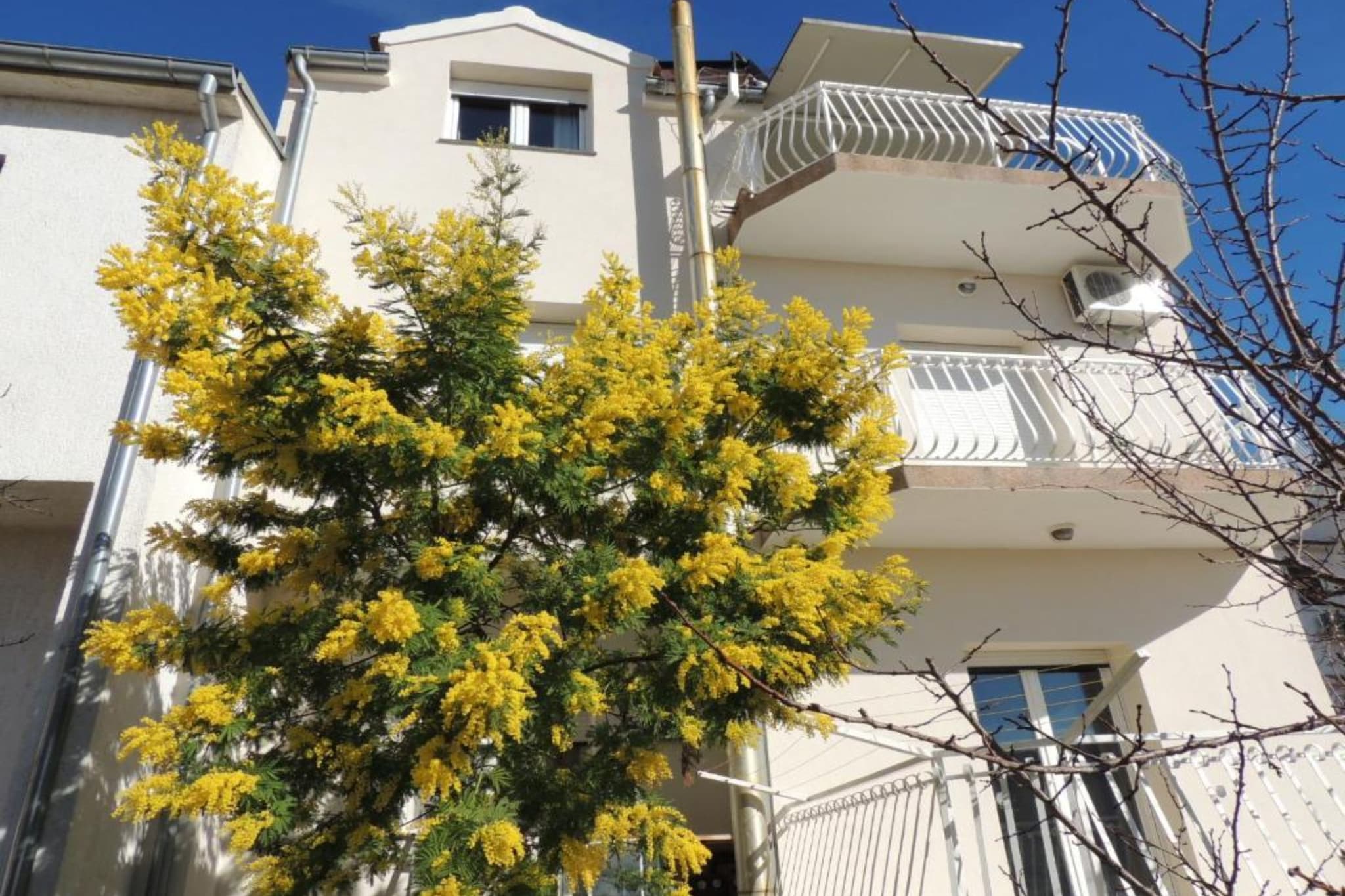 One Bedroom Apartment (A2)-Buitenlucht