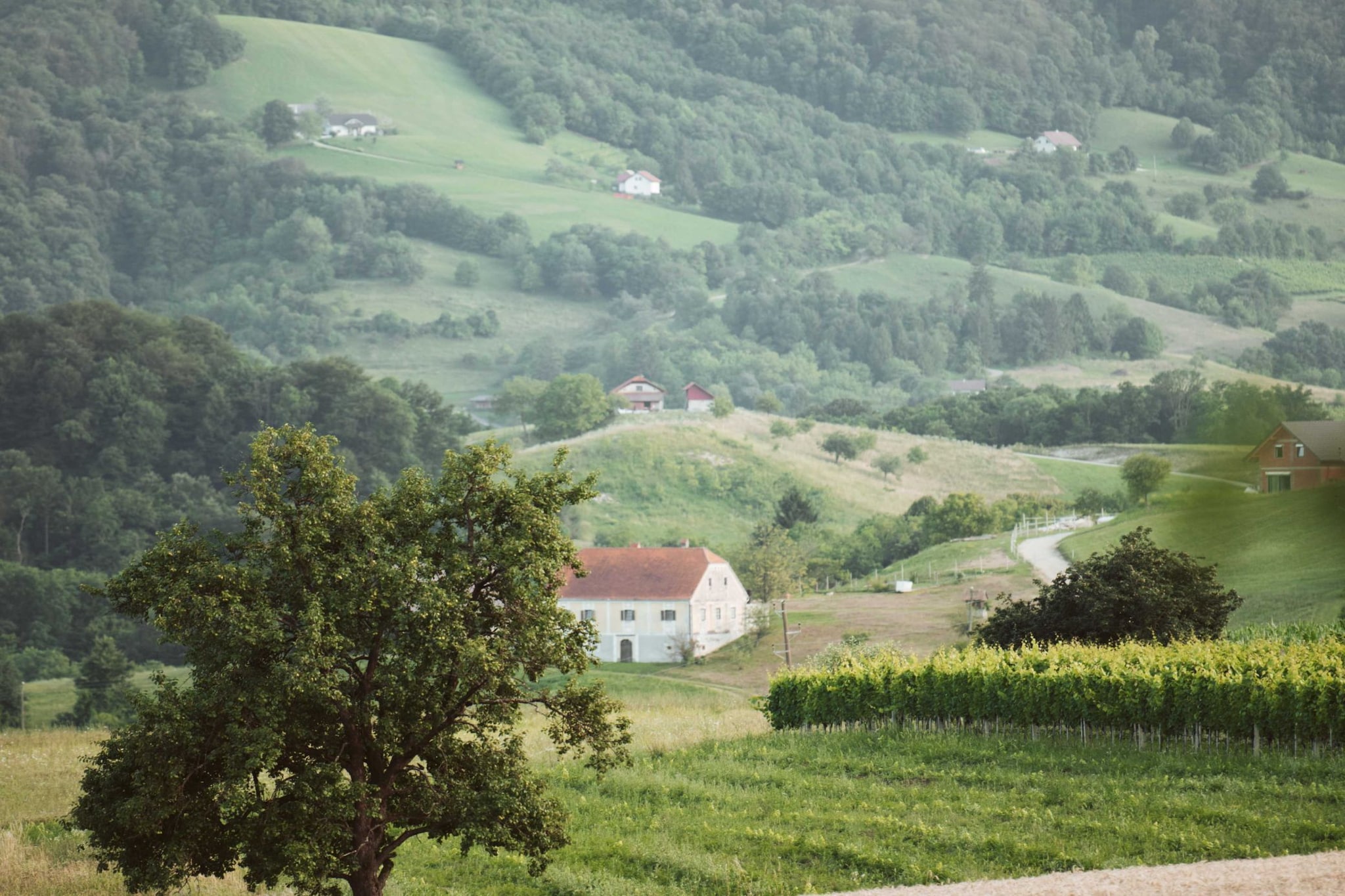 Cozy Holiday Home with Fireplace and Scenic Hills in Bistrica ob Sotli - Two Bedroom Holiday Home-Uitzicht