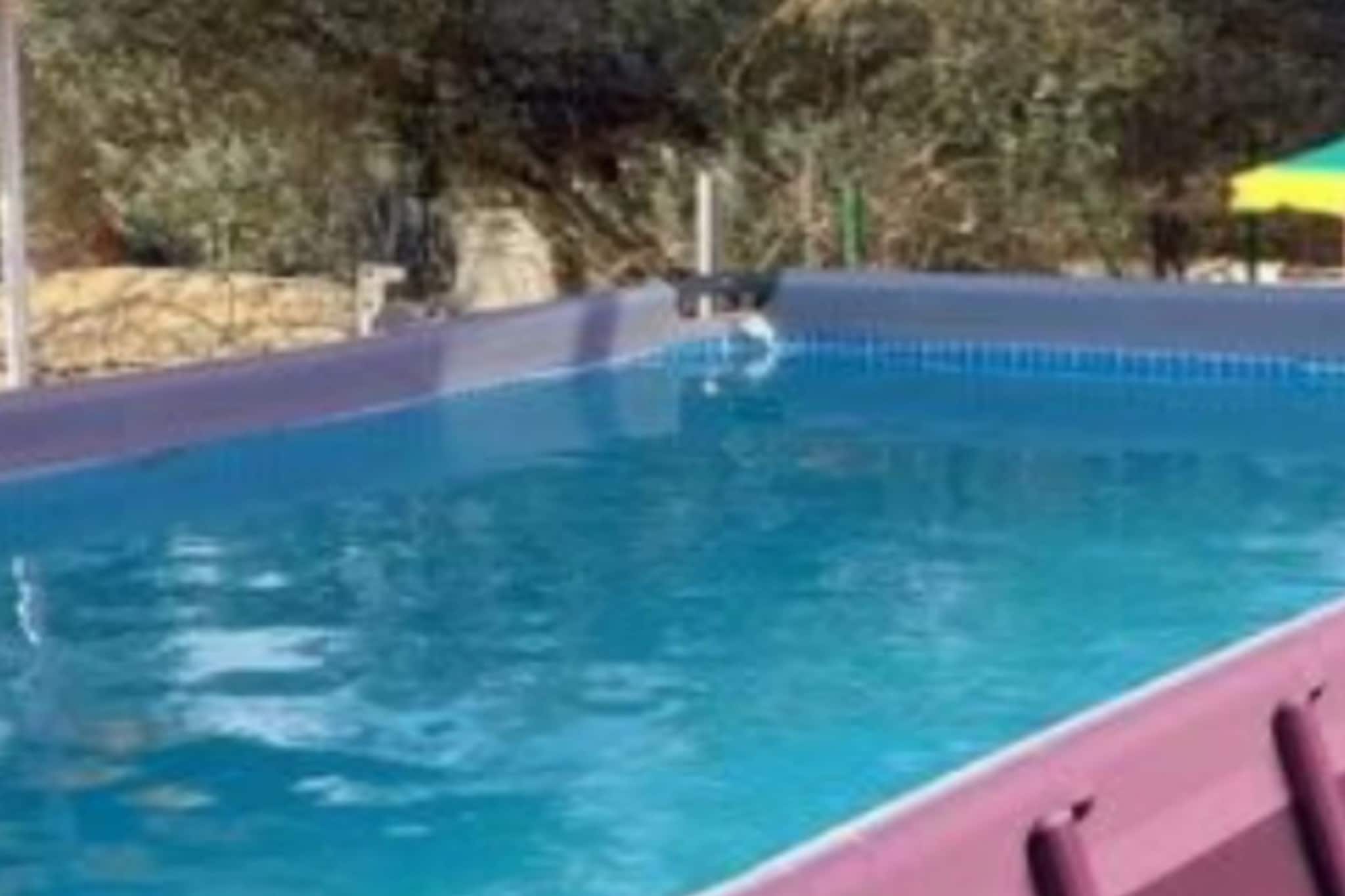 Holiday Home Village Paradise-Swimming pool