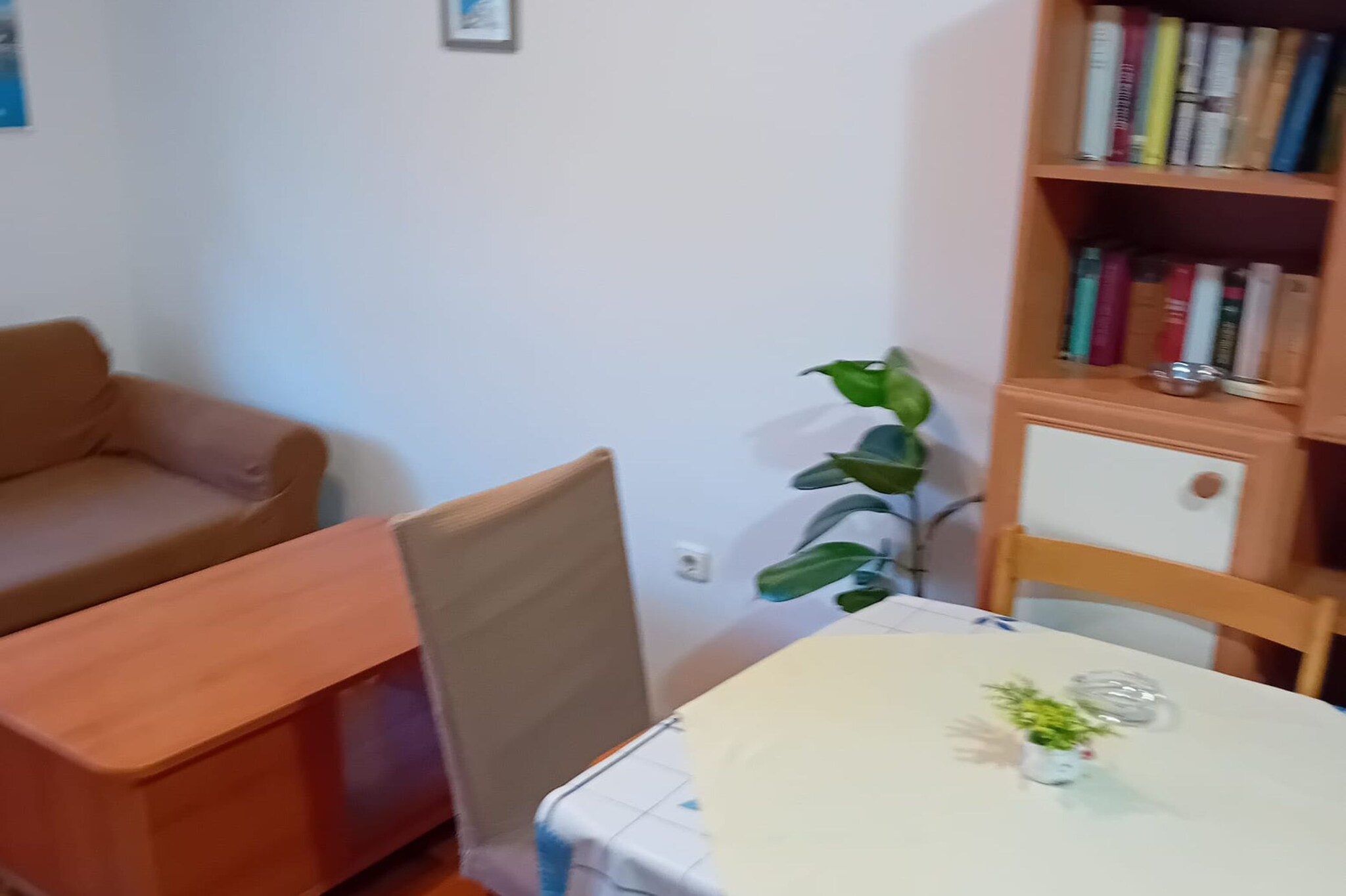 Apartments Petrova-Living room