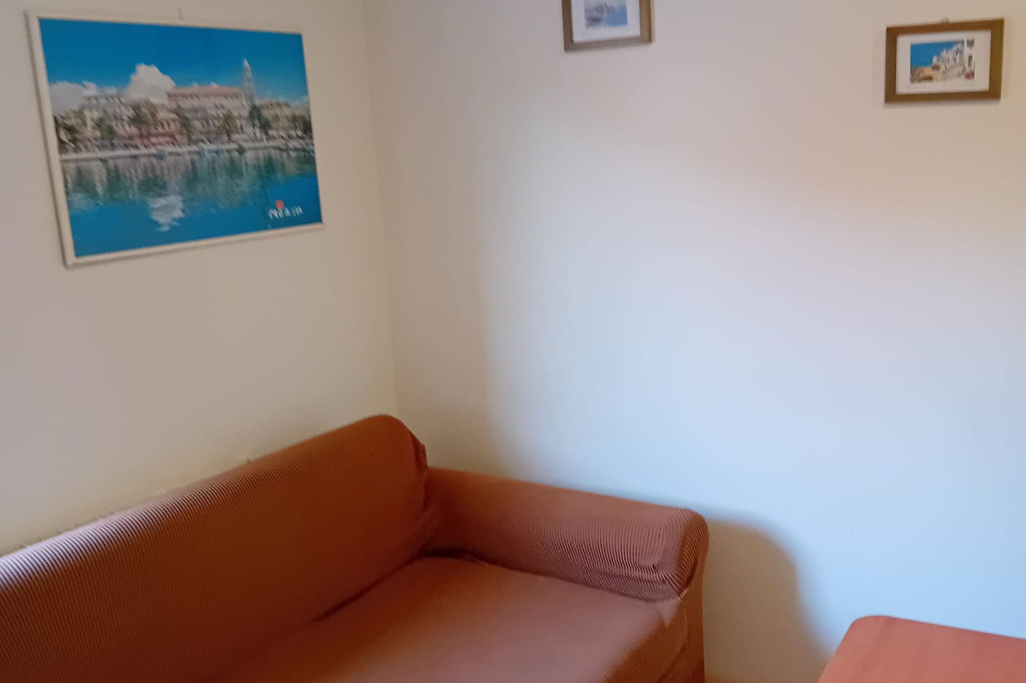 Apartments Petrova-Living room