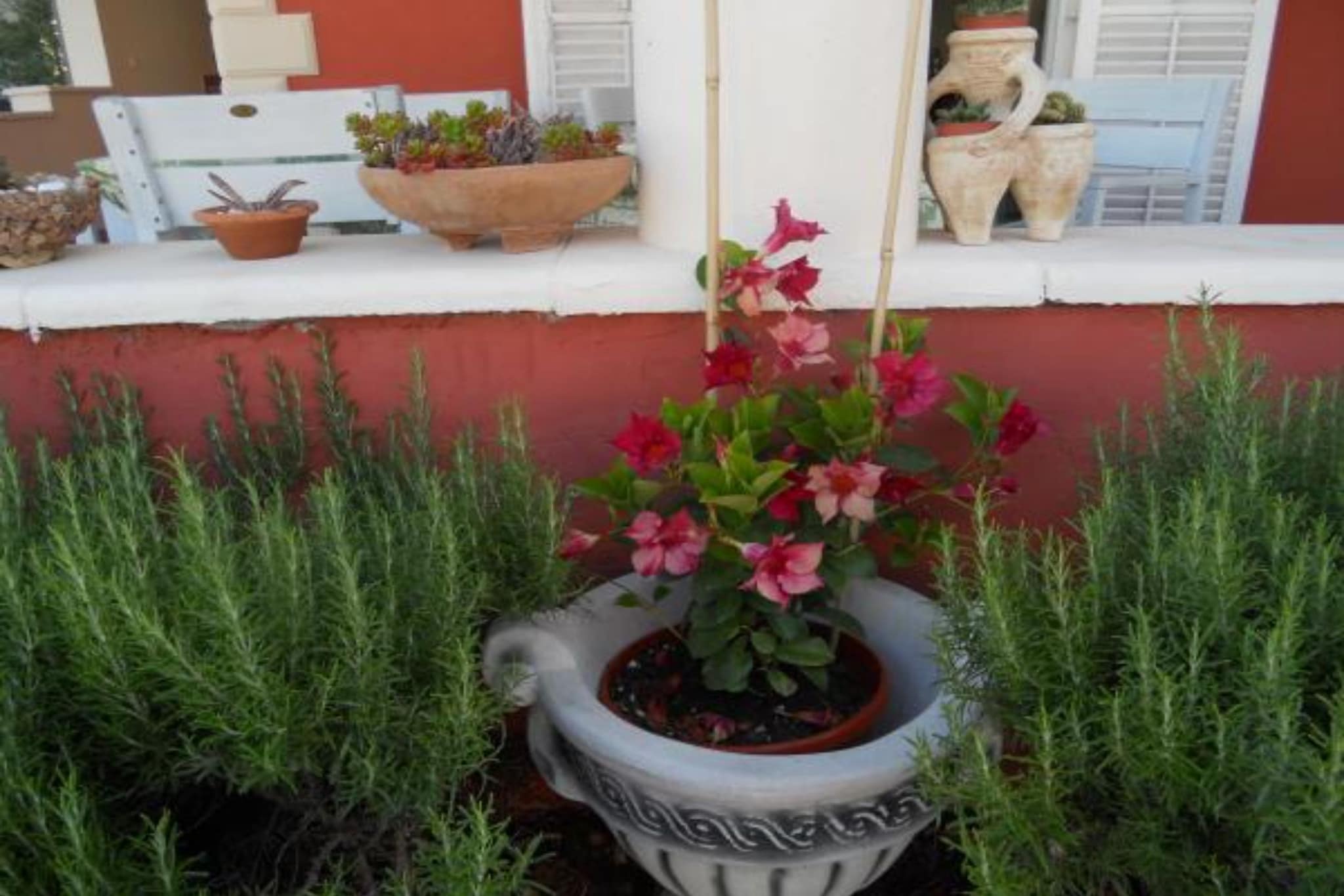 Apartments Dea & Paula - Classic Two Bedroom Apartment with Terrace