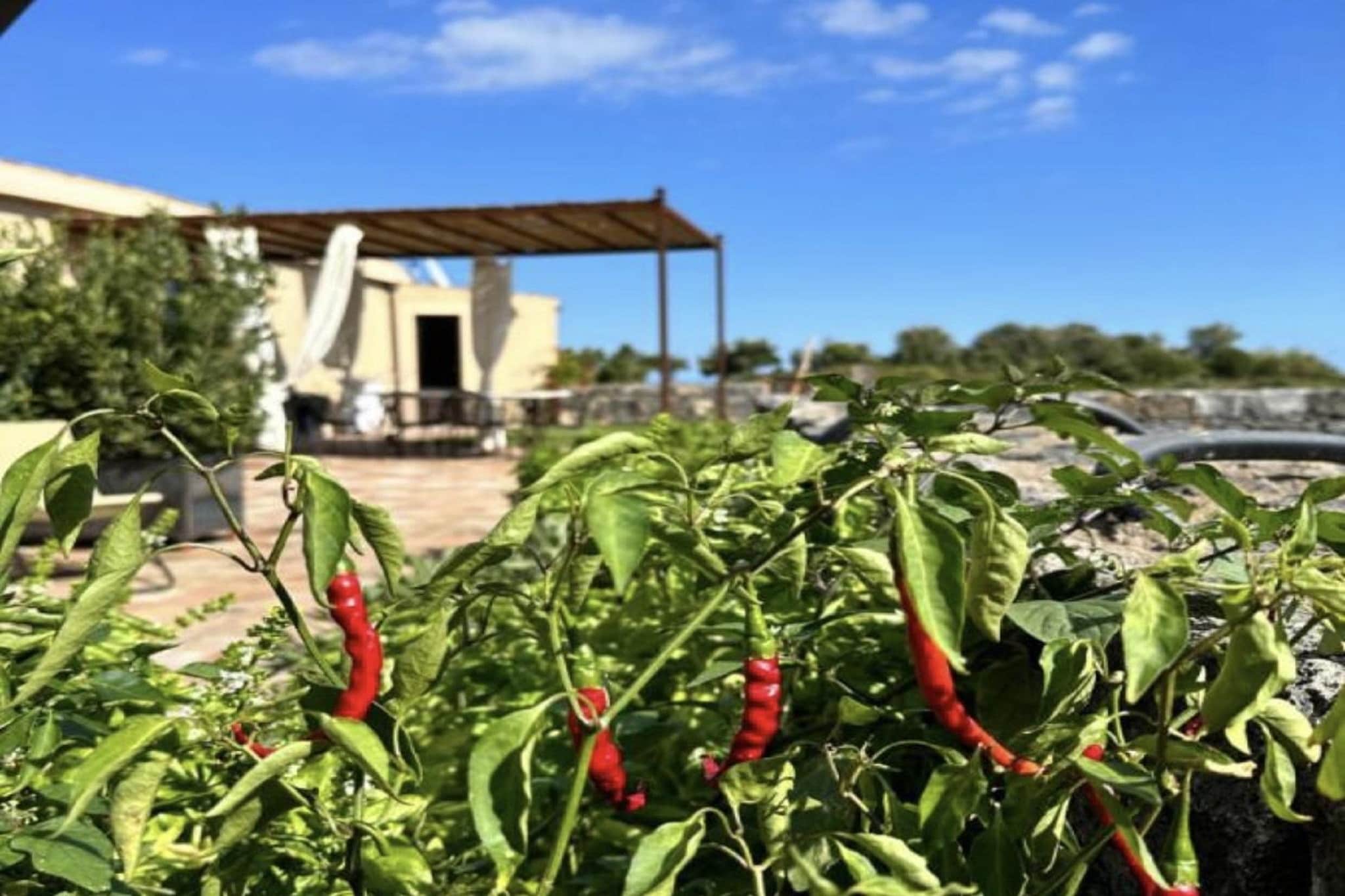 Appartamento La Cantina Villa di campagna-Außenbereich Sommer
