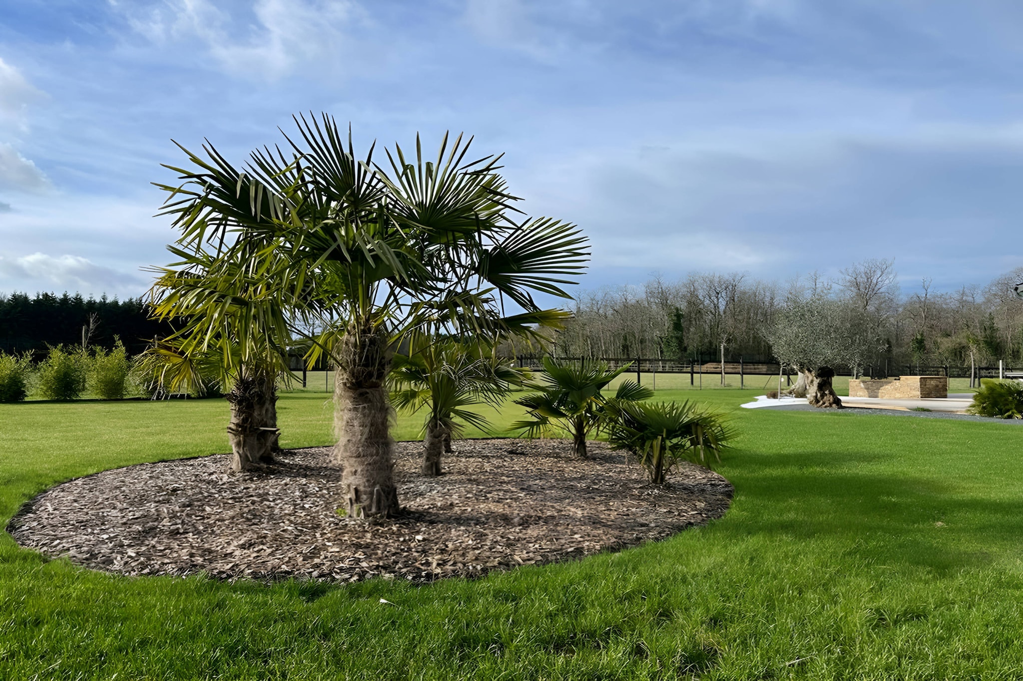 Le Yucca Spa - Jacuzzi - 8p - Rêve au Mans-Tuinen zomer