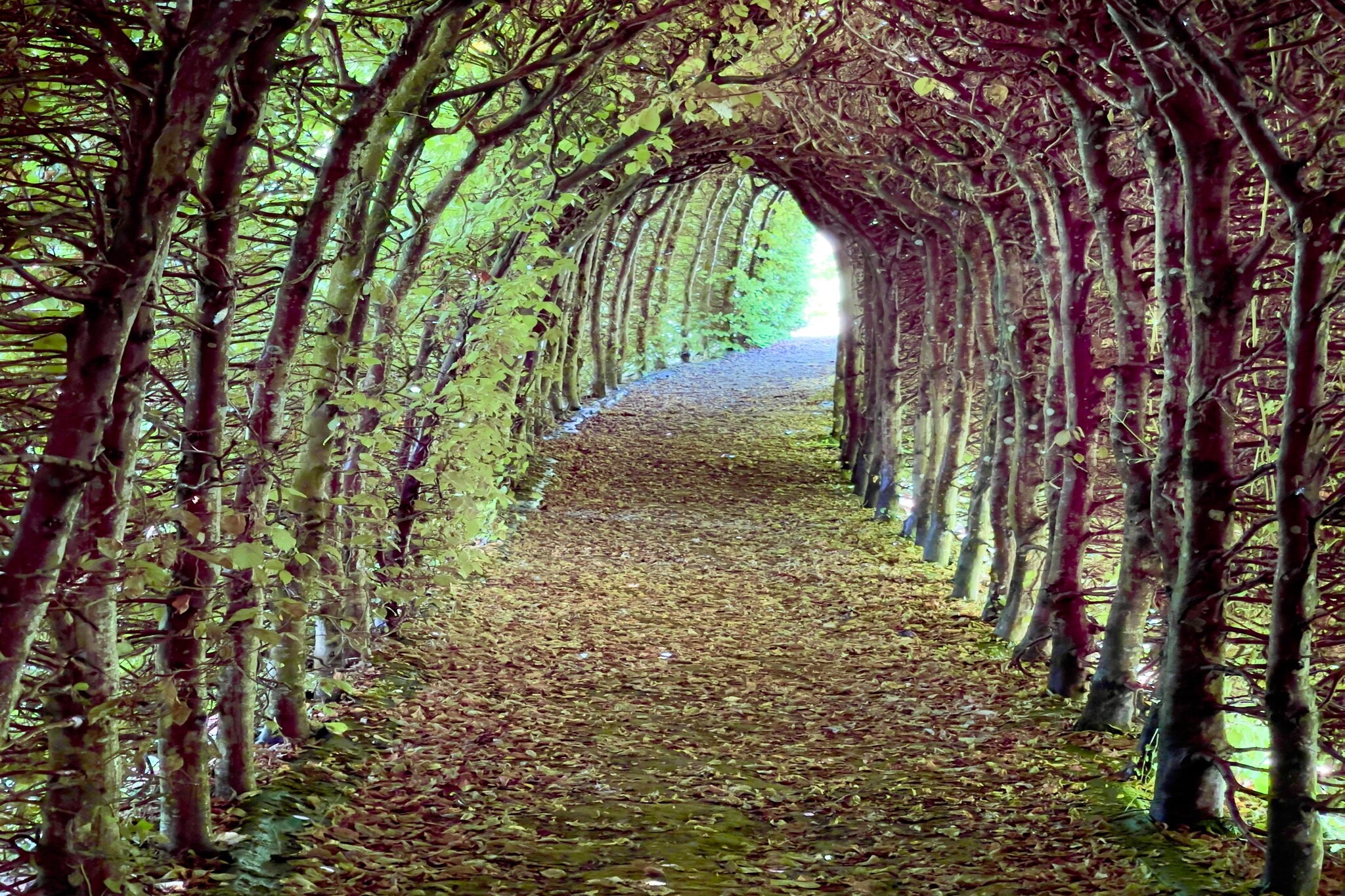 Le Donjon - Campagne - 4p - Rêve au Mans-Gebieden zomer 5km