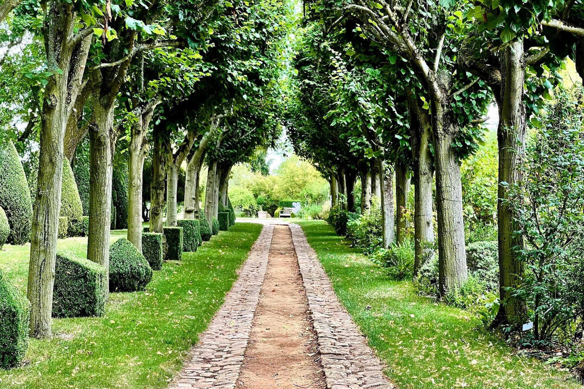 Le Donjon - Campagne - 4p - Rêve au Mans-Gebieden zomer 5km