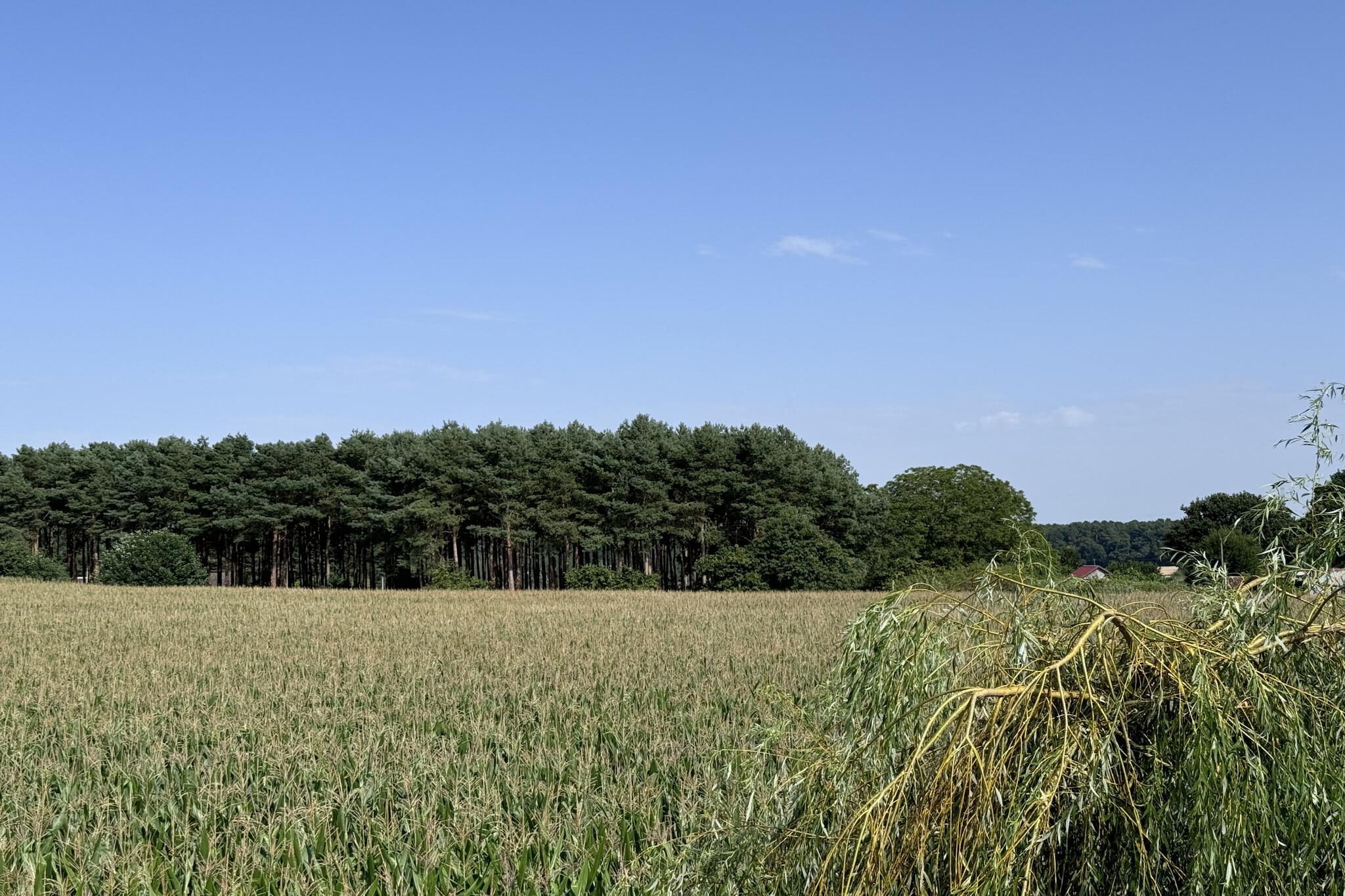 Le QG des Bolides - 12 pers - Circuit - Rêve au Ma-Gebieden zomer 1km