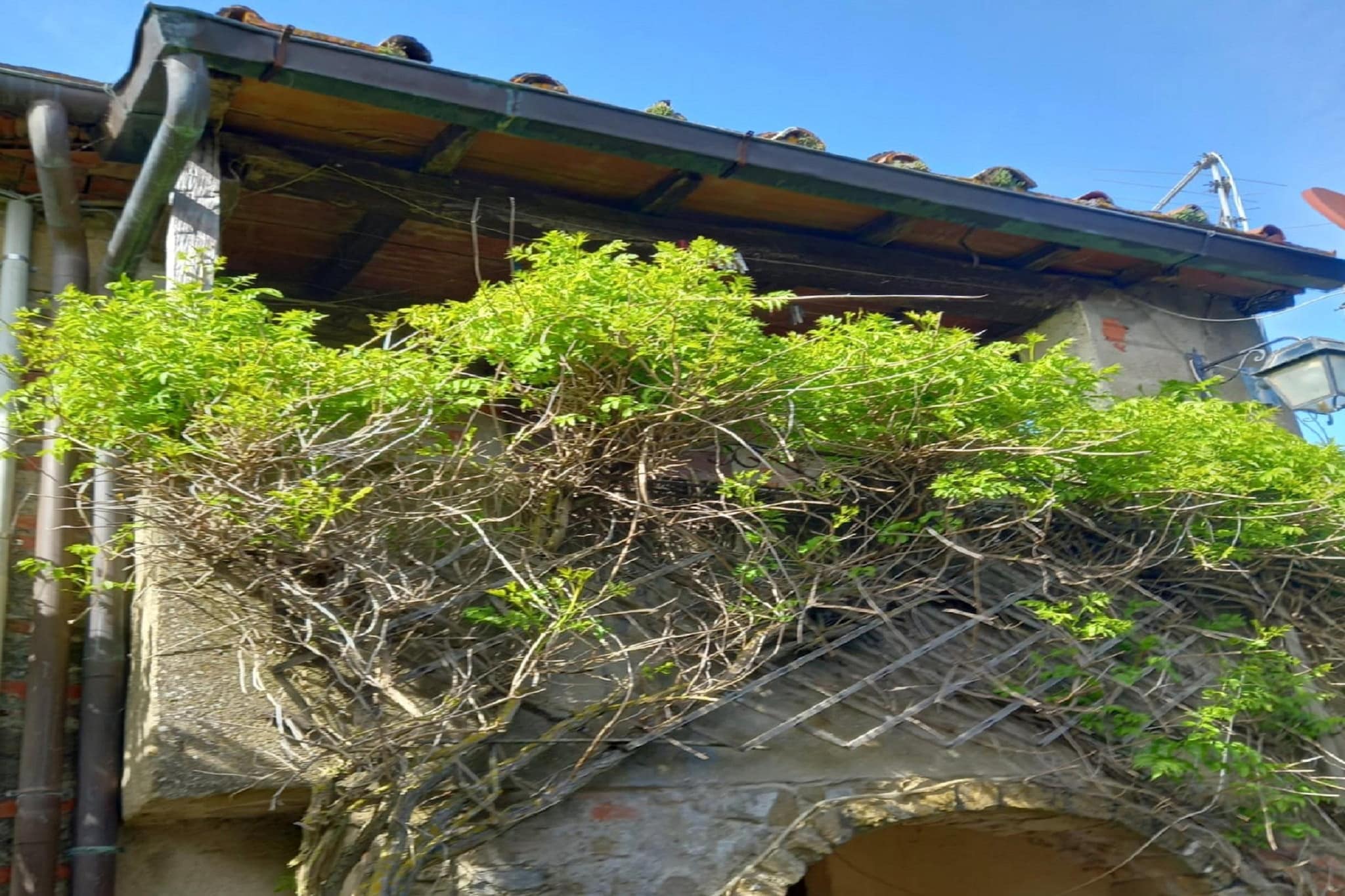 Casa 'La vita è bella'-Terrace balcony