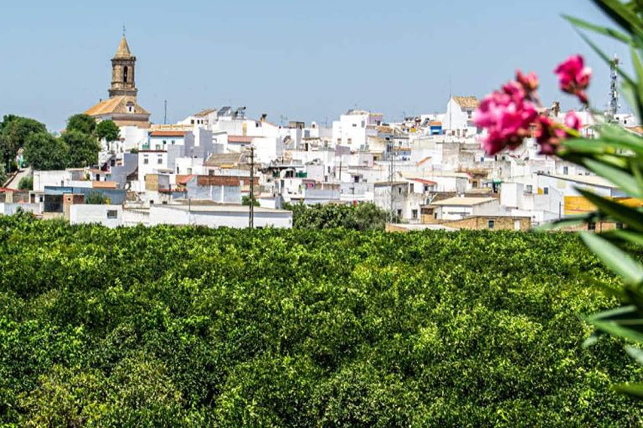 Santa Ángela de la Cruz-Areas summer 5km