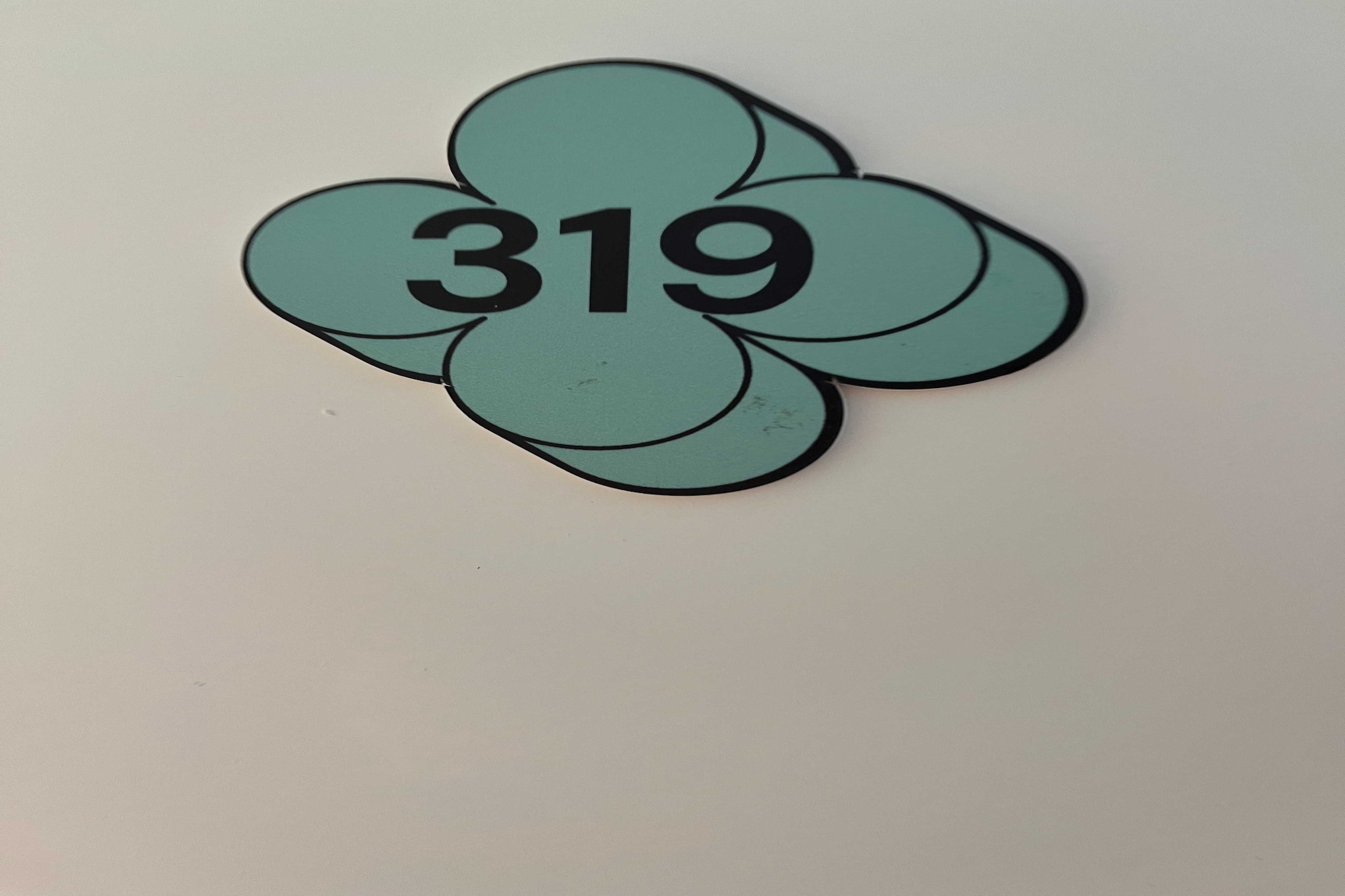 AS-11-MARRONNIERS-319-M