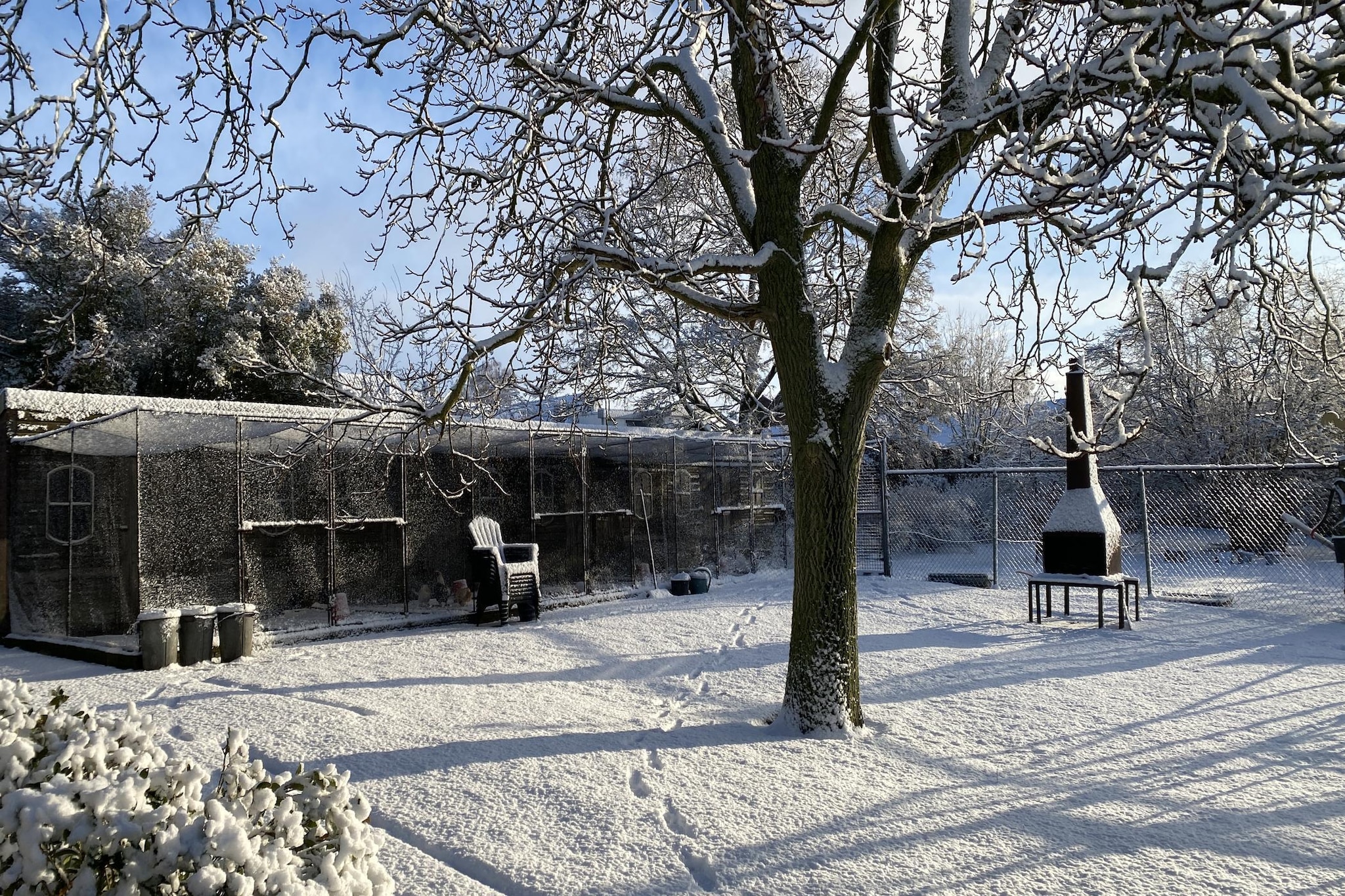 De Hofstede-Garden in winter