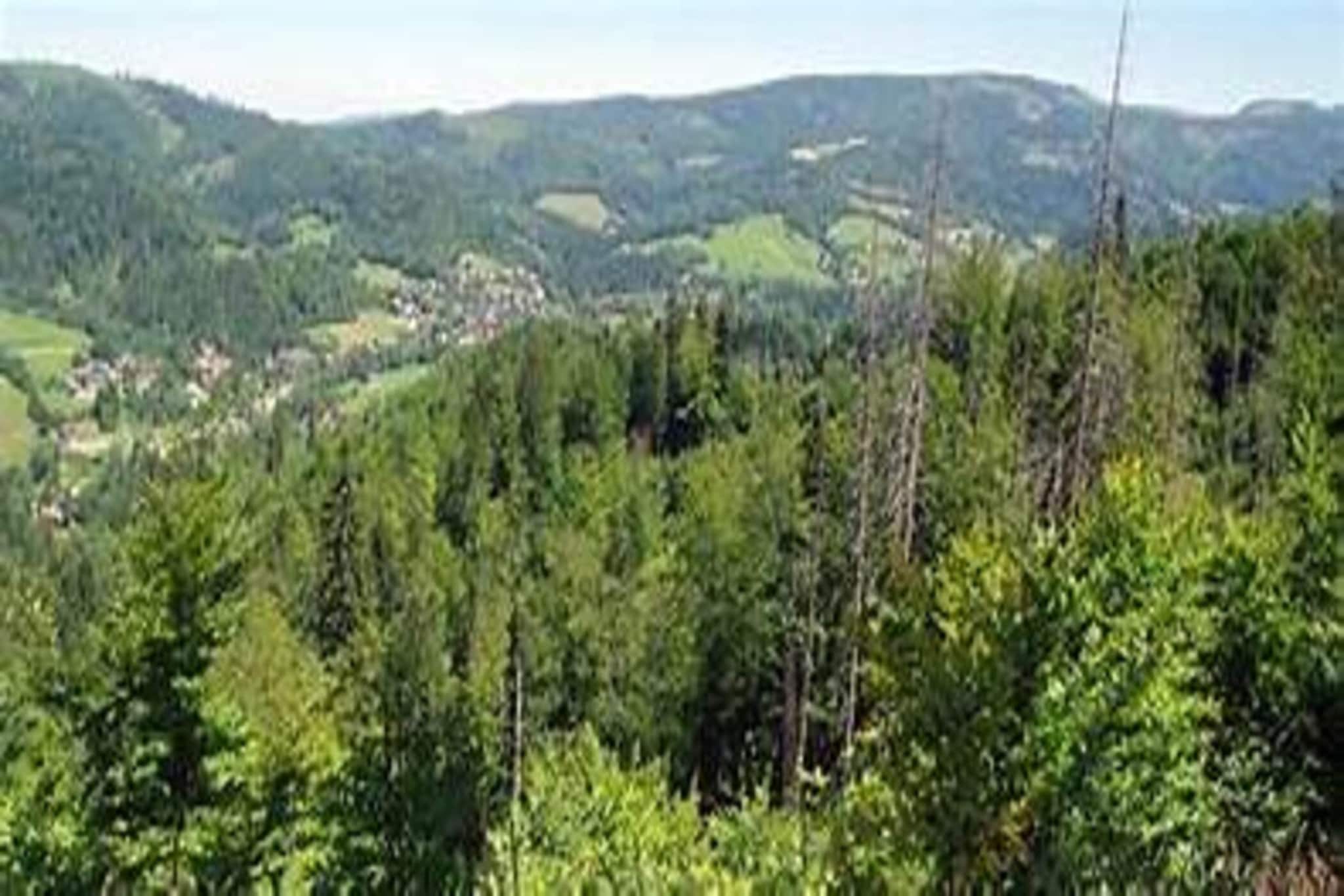 Drewniane domy wakacyjne w Wiśle-Gebiete Sommer 5 km