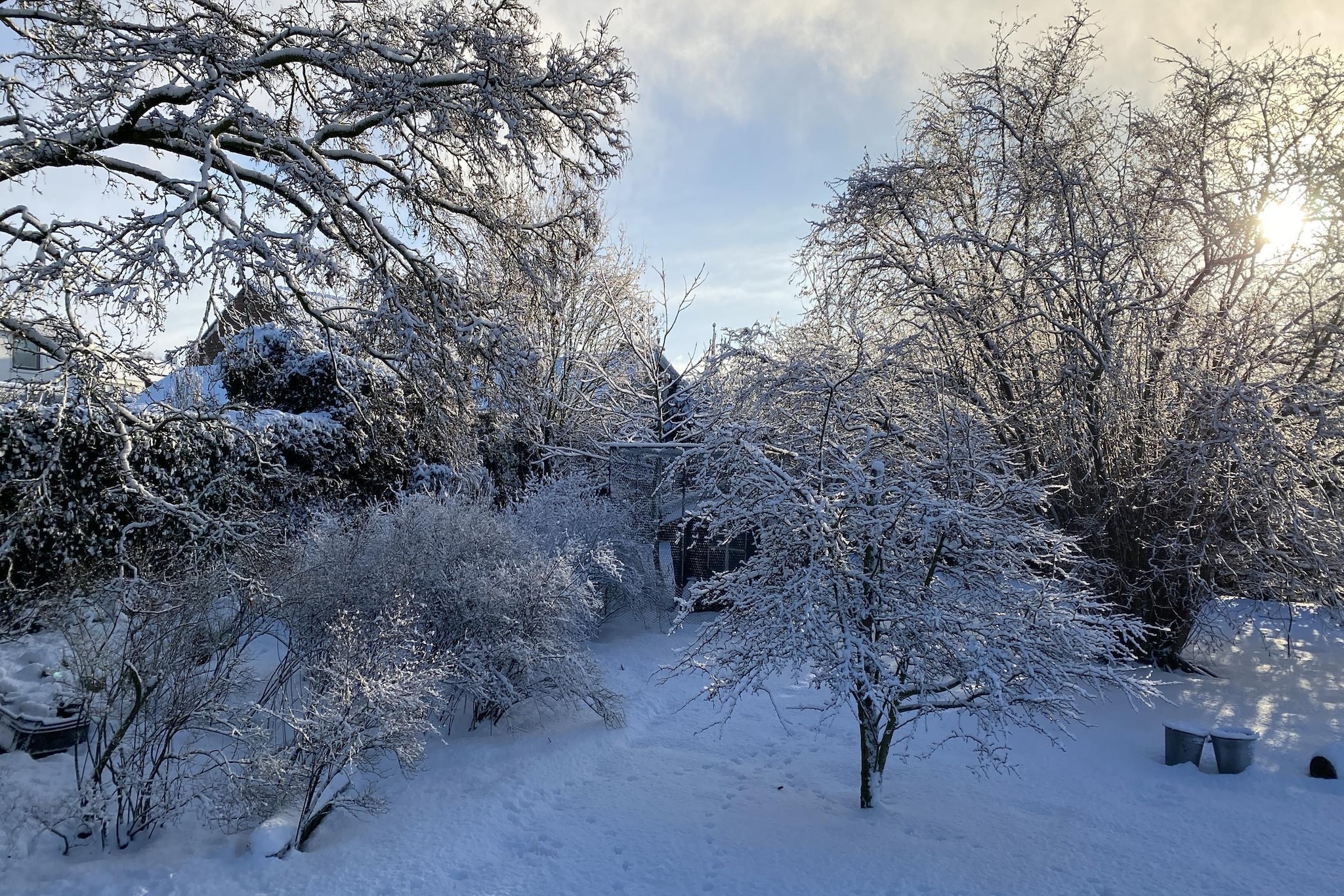 De Herberg-Area within 1km in winter