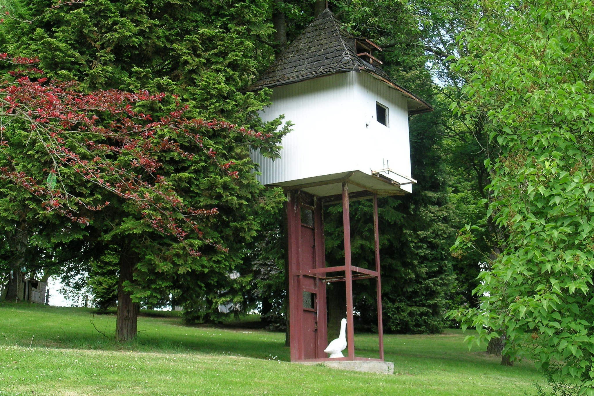 Domaine De L'Ecureuil 1-Tuinen zomer