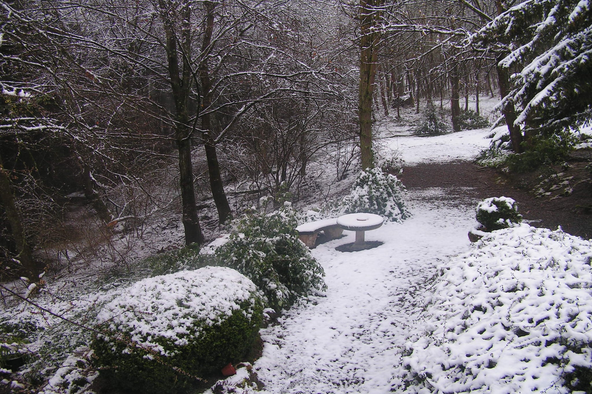 Domaine De L'Ecureuil 1-Tuin winter