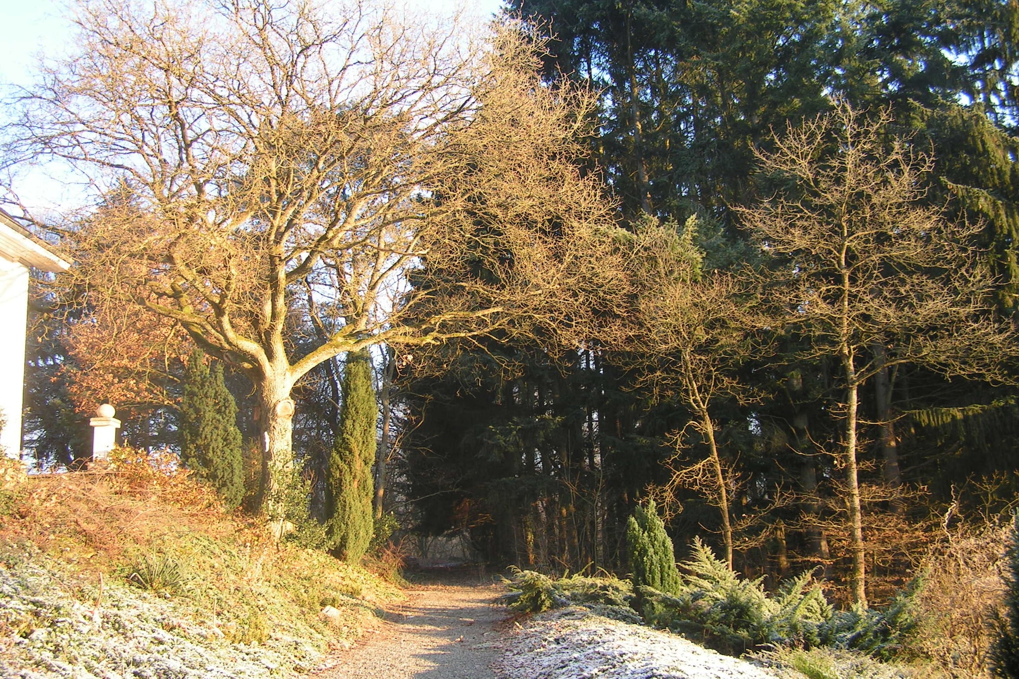 Domaine De L'Ecureuil 1-Tuin winter