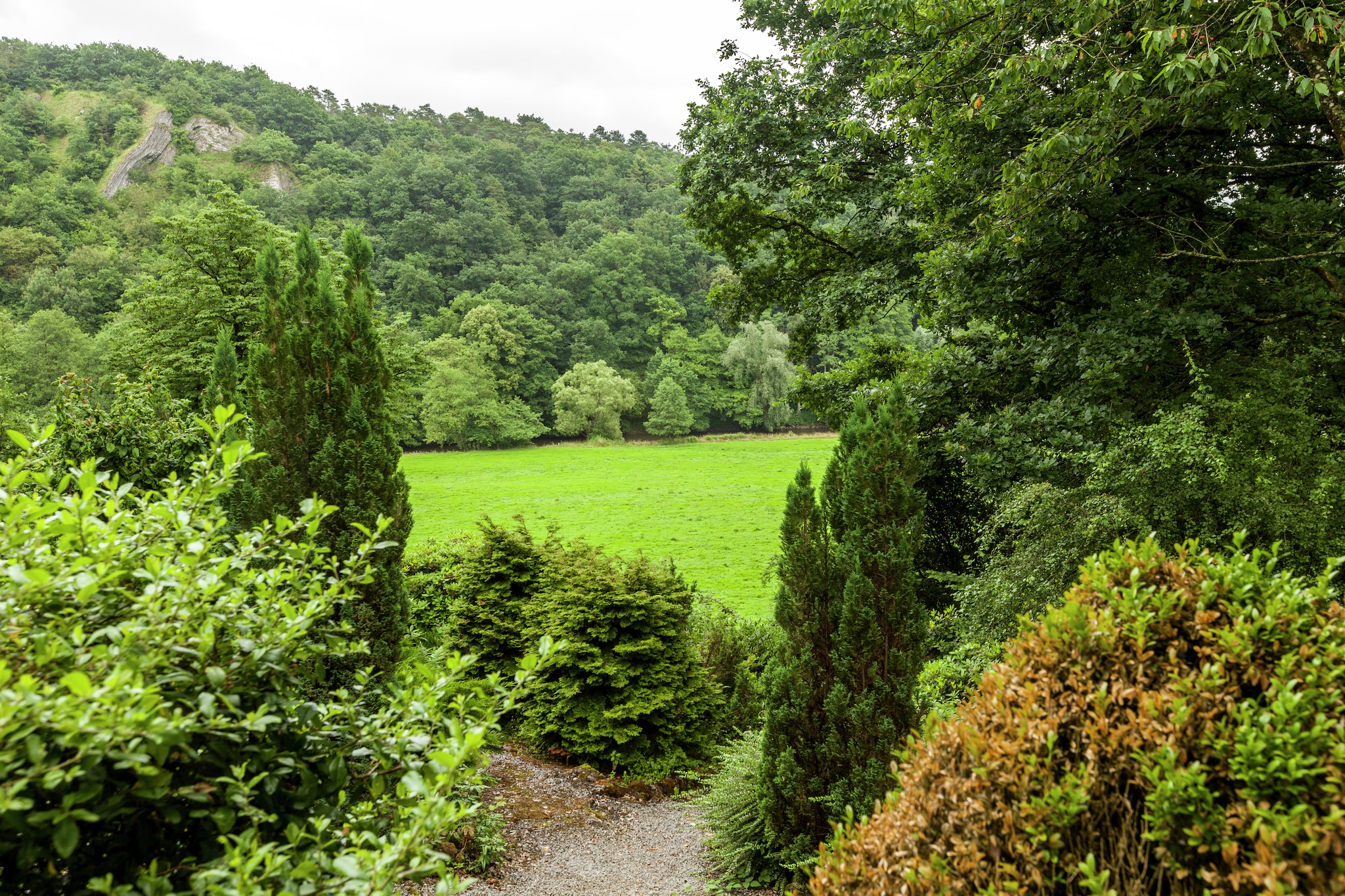 Domaine De L'Ecureuil 1-Gebieden zomer 5km
