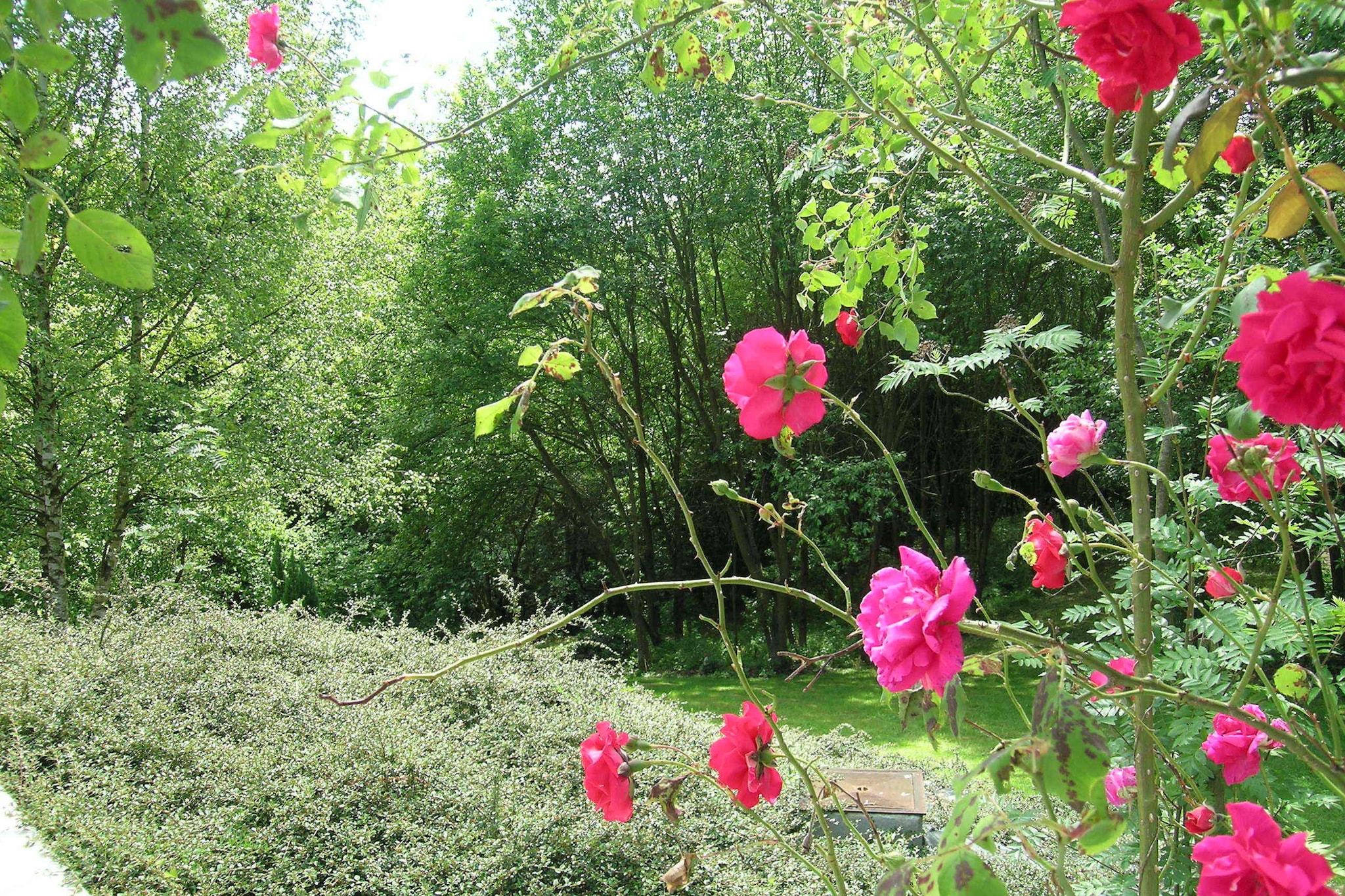 Domaine De L'Ecureuil 5-Tuinen zomer