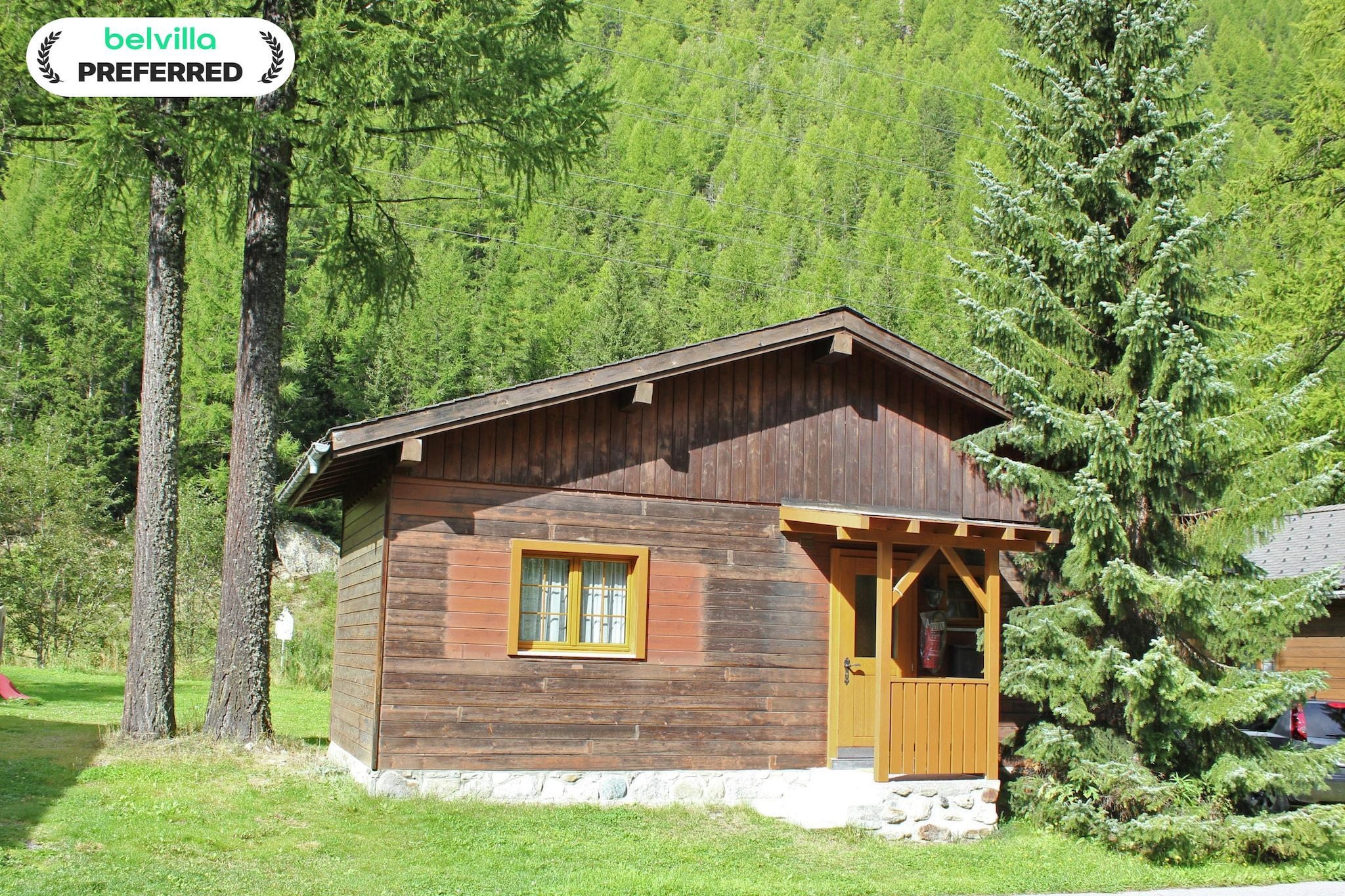 Residence Edelweiss-Außenbereich Sommer