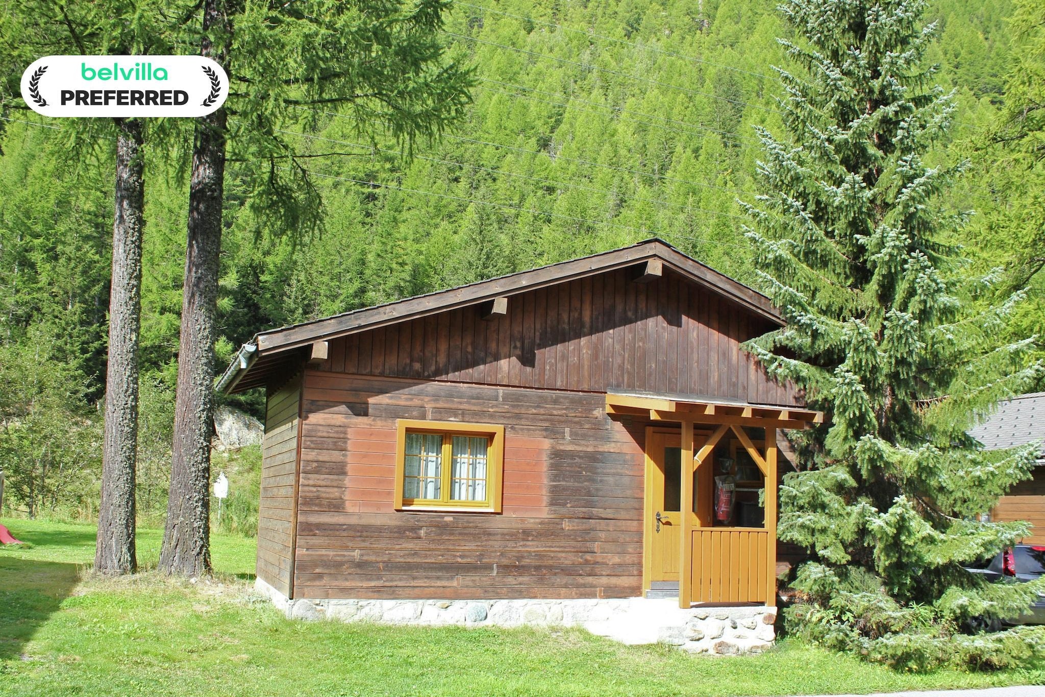 Residence Edelweiss-Außenbereich Sommer