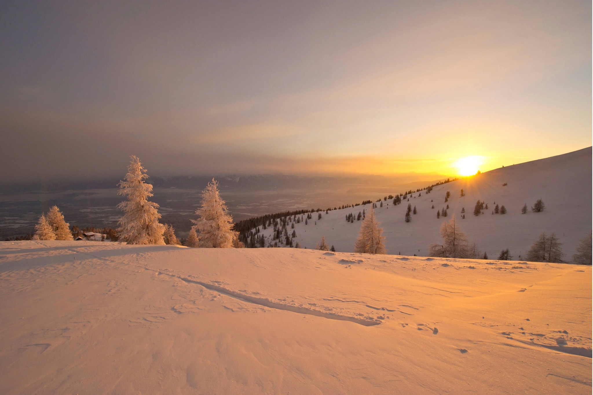 Apartment Alpennest 2306-Gebied winter 1km