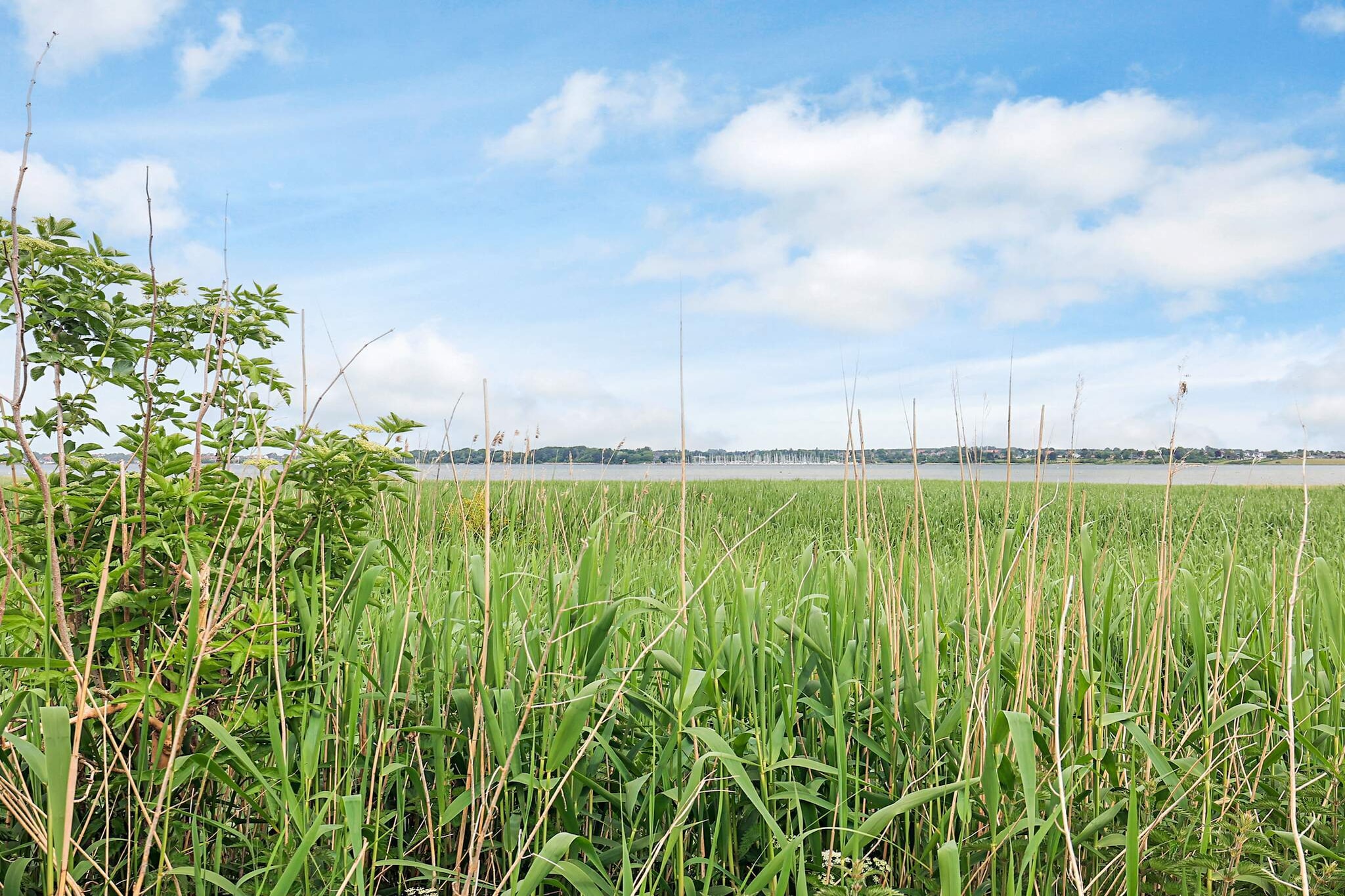 4 star holiday home in Jægerspris-Water view