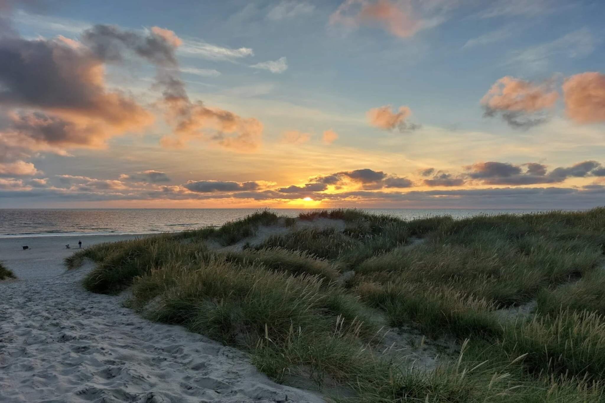 6 Personen vakantie huis in Henne-Waterzicht