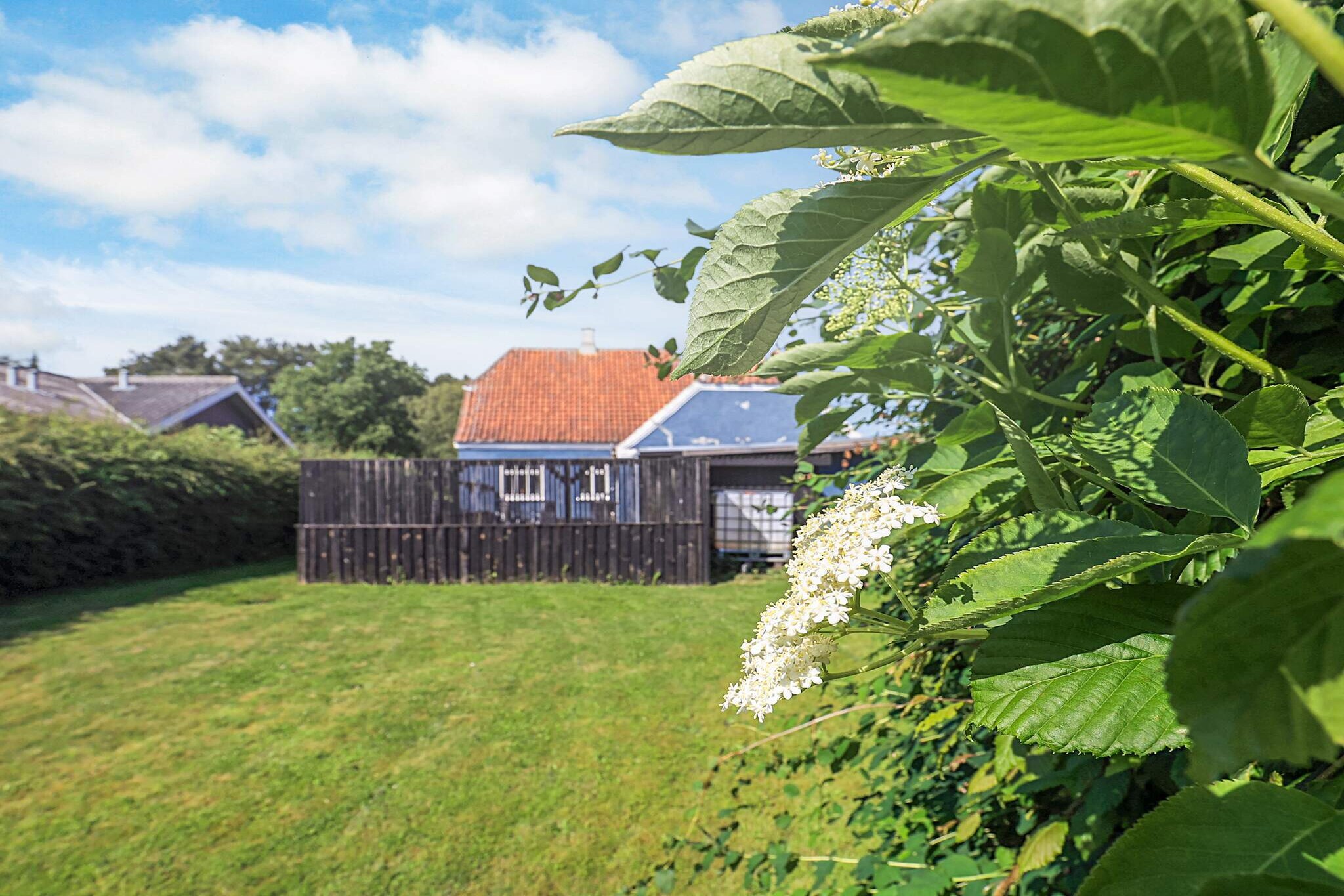 5 Personen vakantie huis in Tranekær-Uitzicht