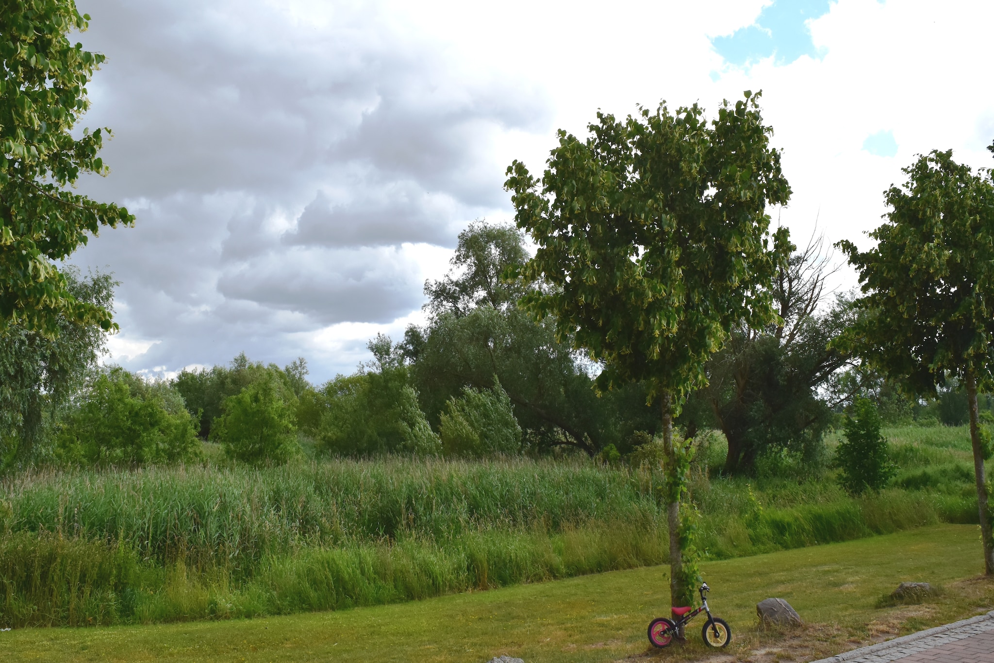 Ferienwohnung Backbord-Areas summer 1km