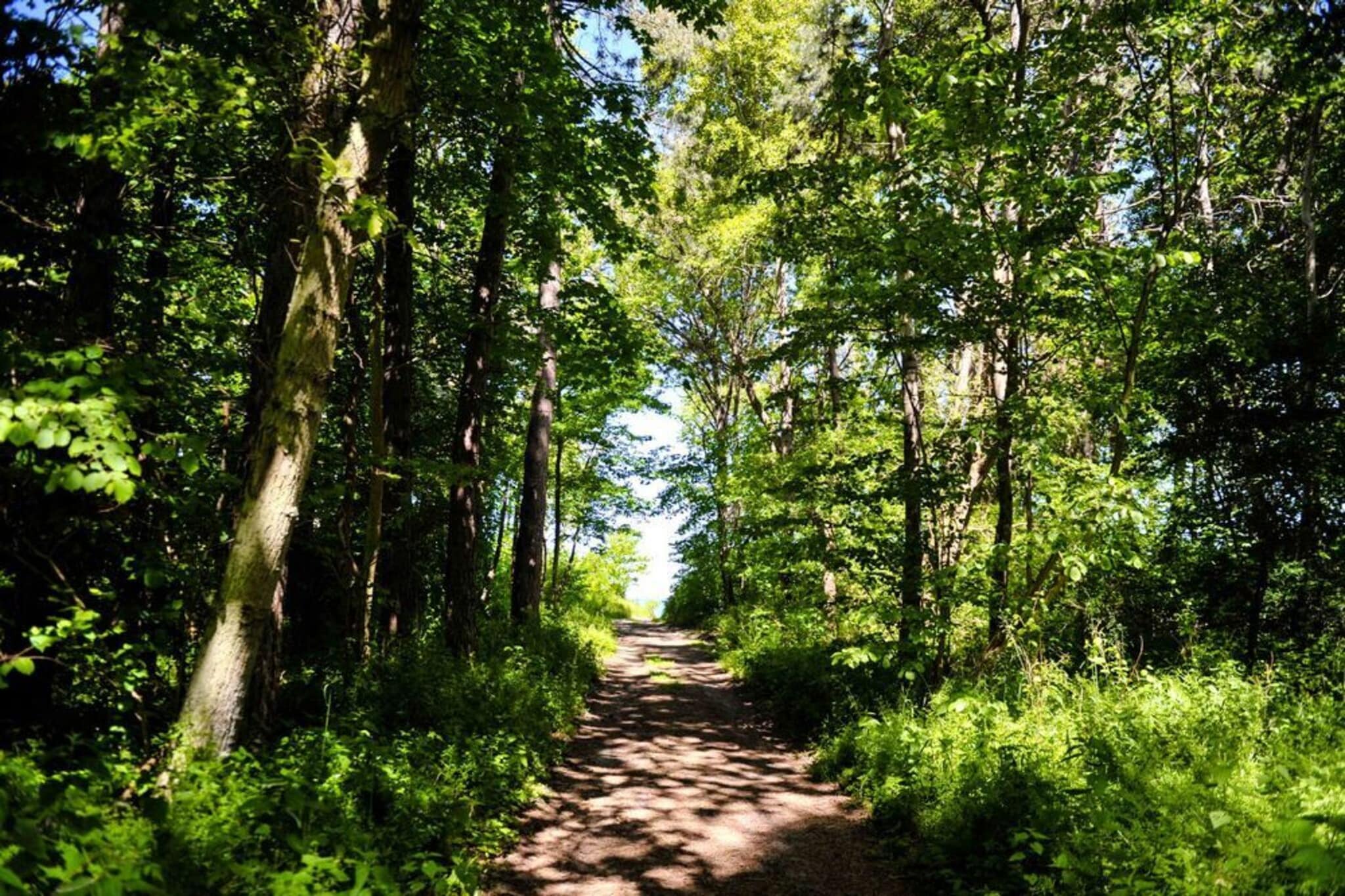 Piętrowe domki wakacyjne w Pleśnej-Gebieden zomer 1km