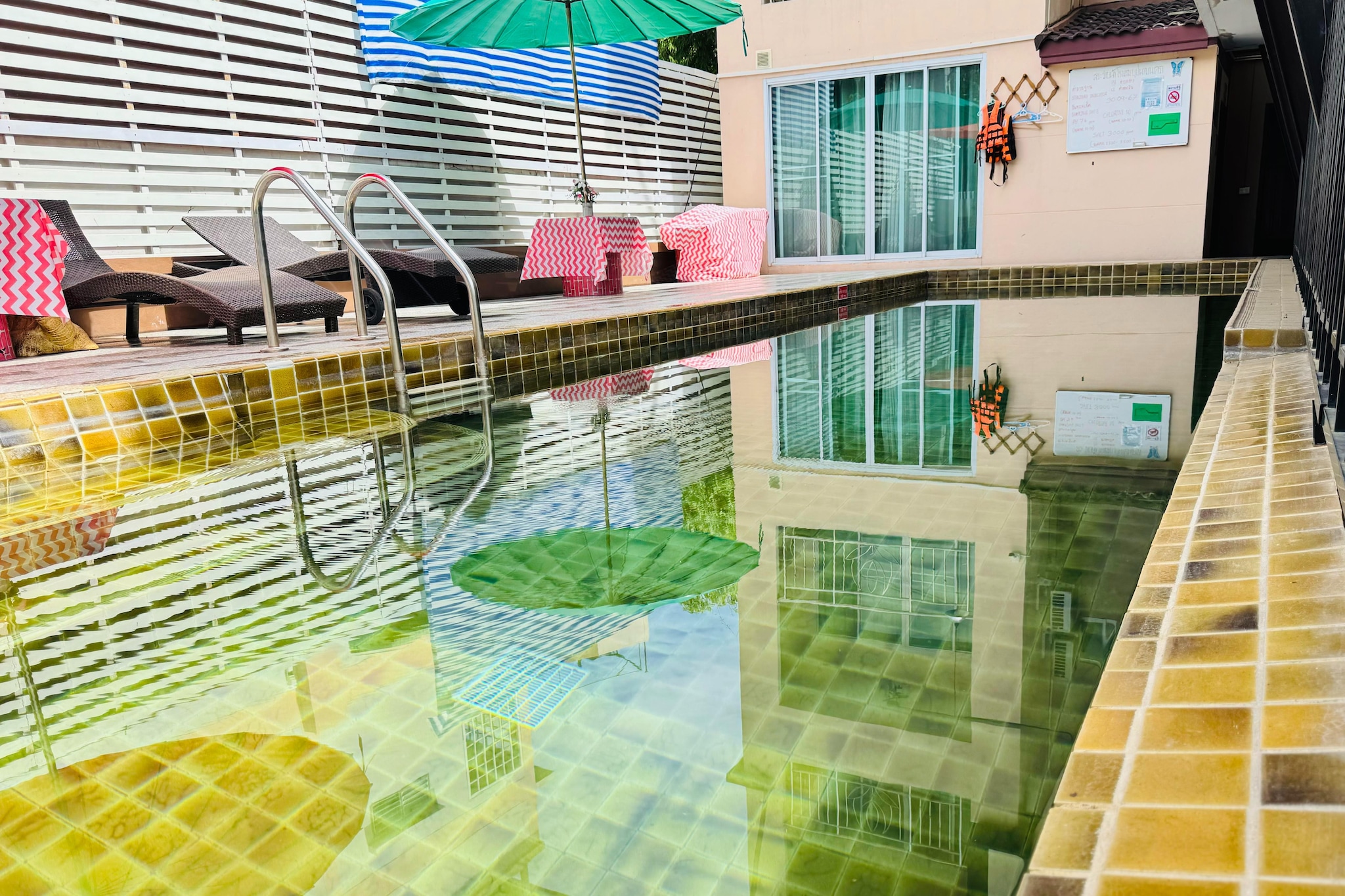 Social Mixed Dorm | Budget Comfort Option