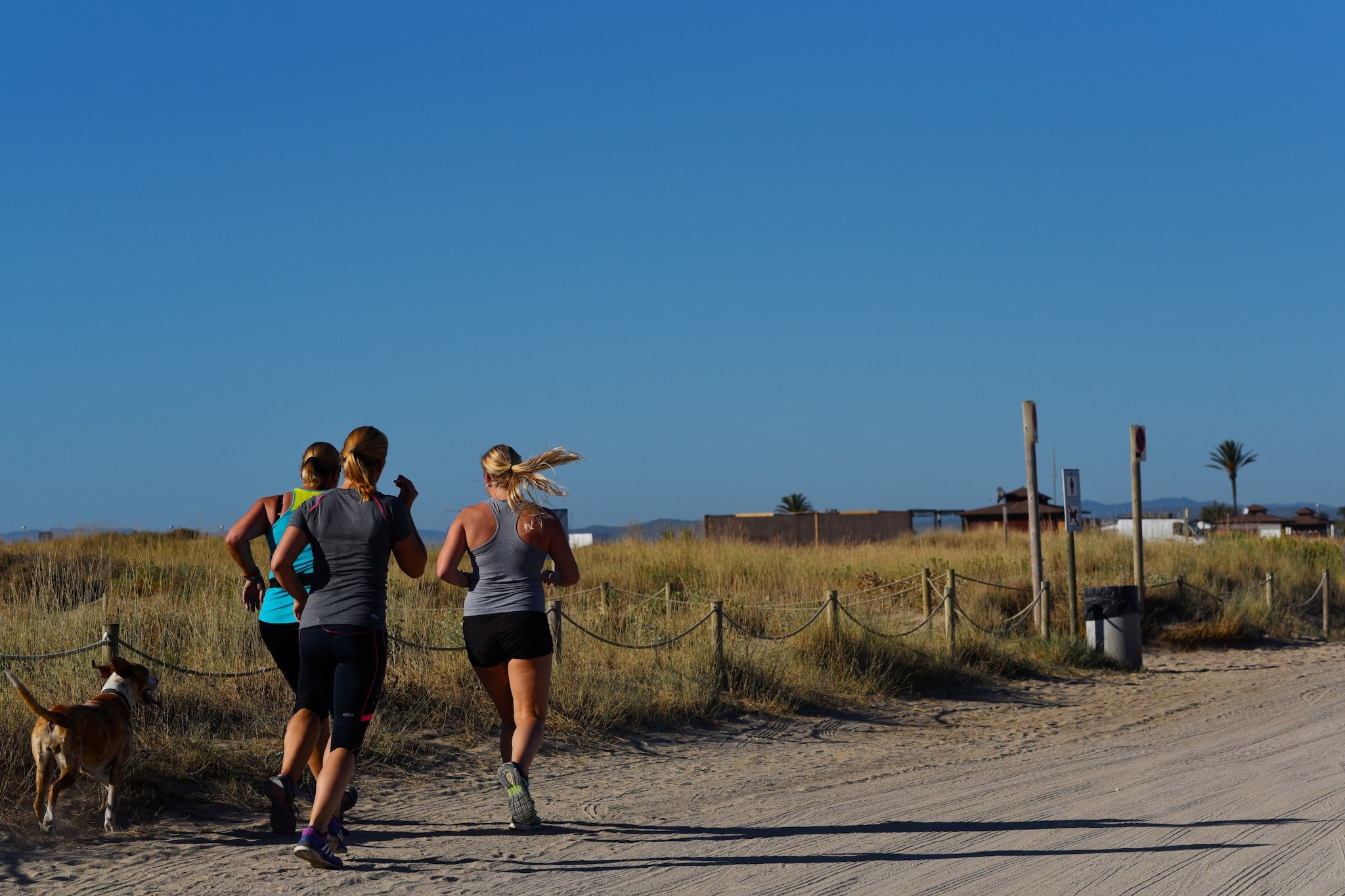 0148-PORT DUCAL ESC: B 3º 2-Gebieden zomer 5km