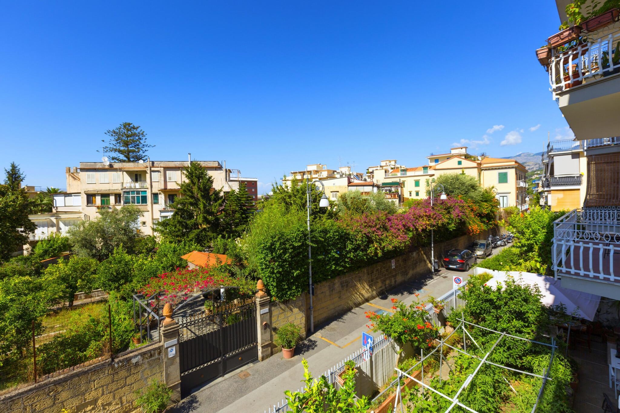 Suites 21  Bosco