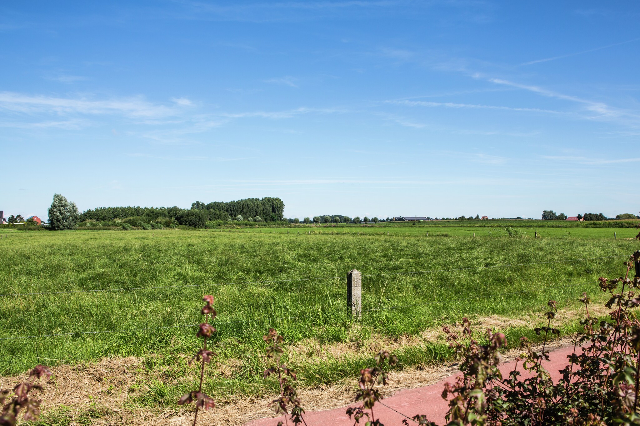 Vakantiehuis Loenhout max. 8 personen 4 slaapkamers #16