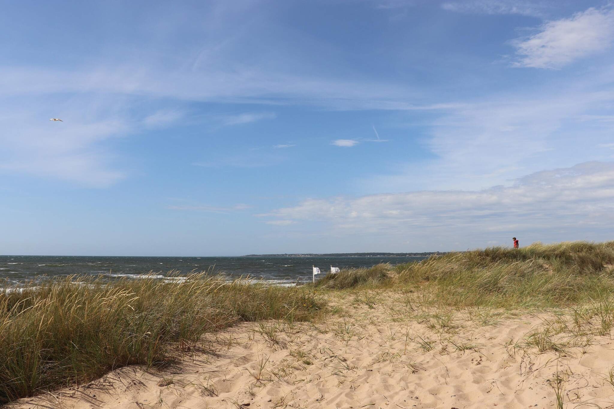 5 star holiday home in ÄNGELHOLM-Not tagged