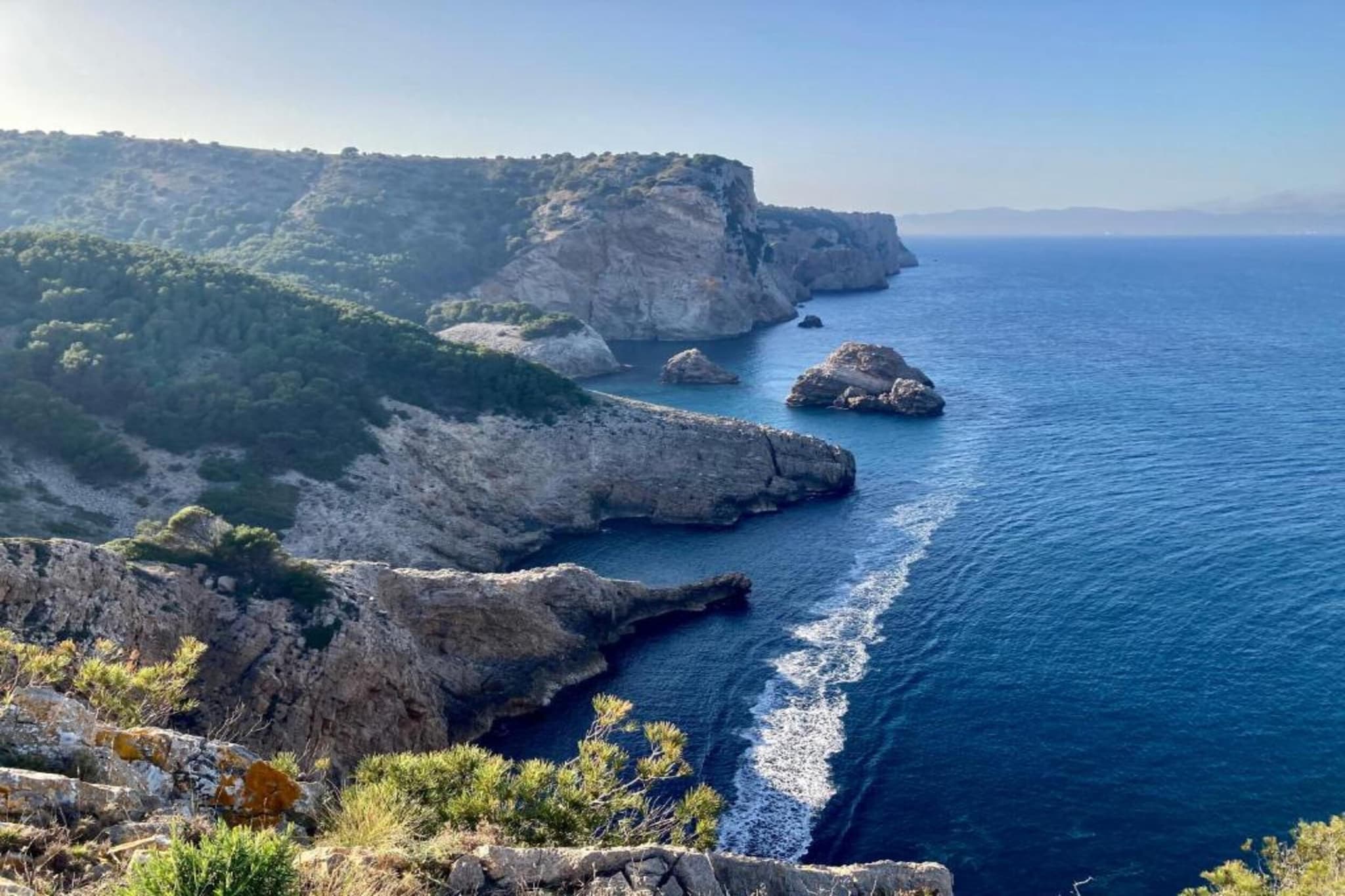 ESPIGO B 1-2-Gebieden zomer 5km