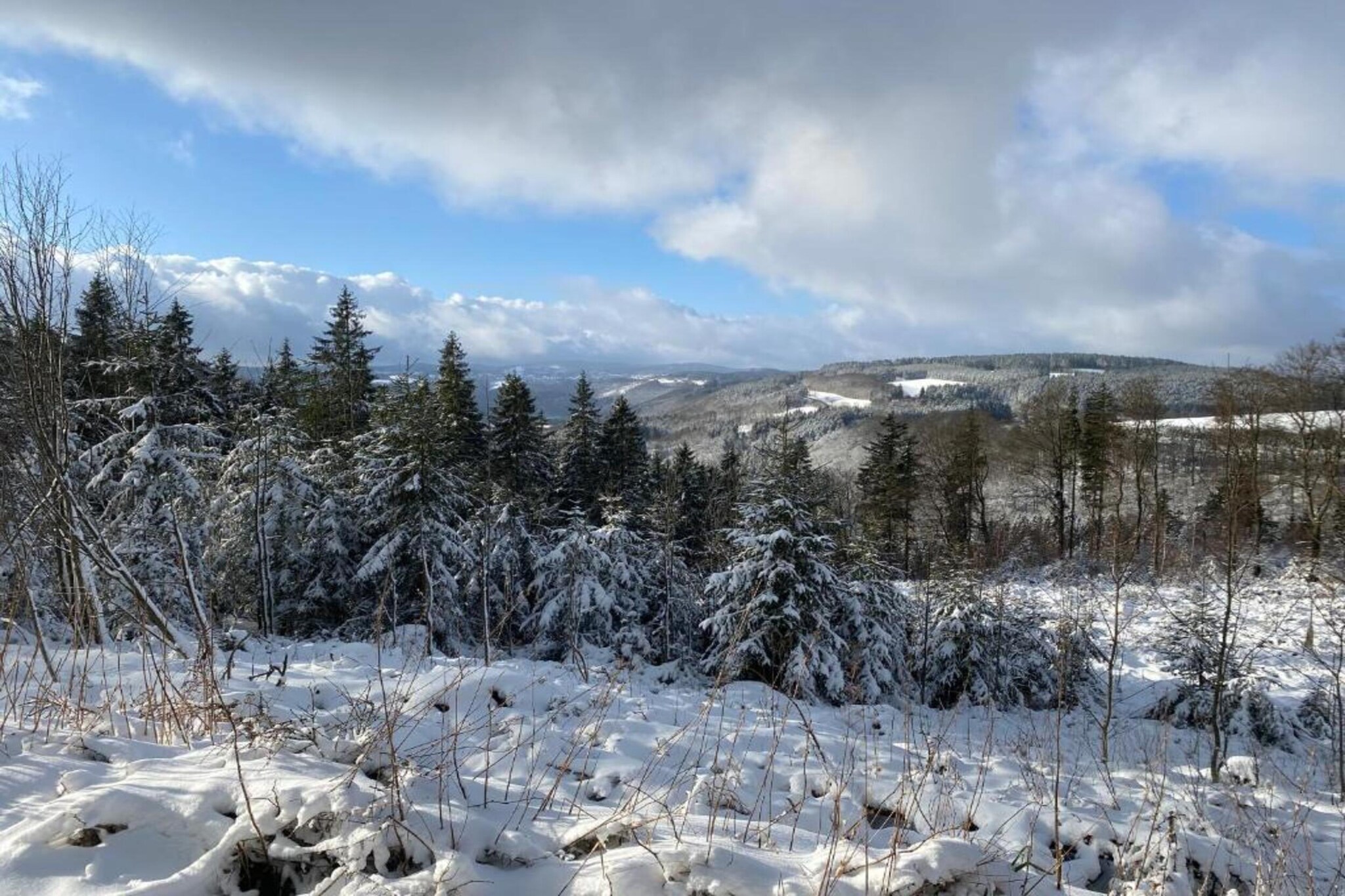 El Dorado-Gebied winter 20km