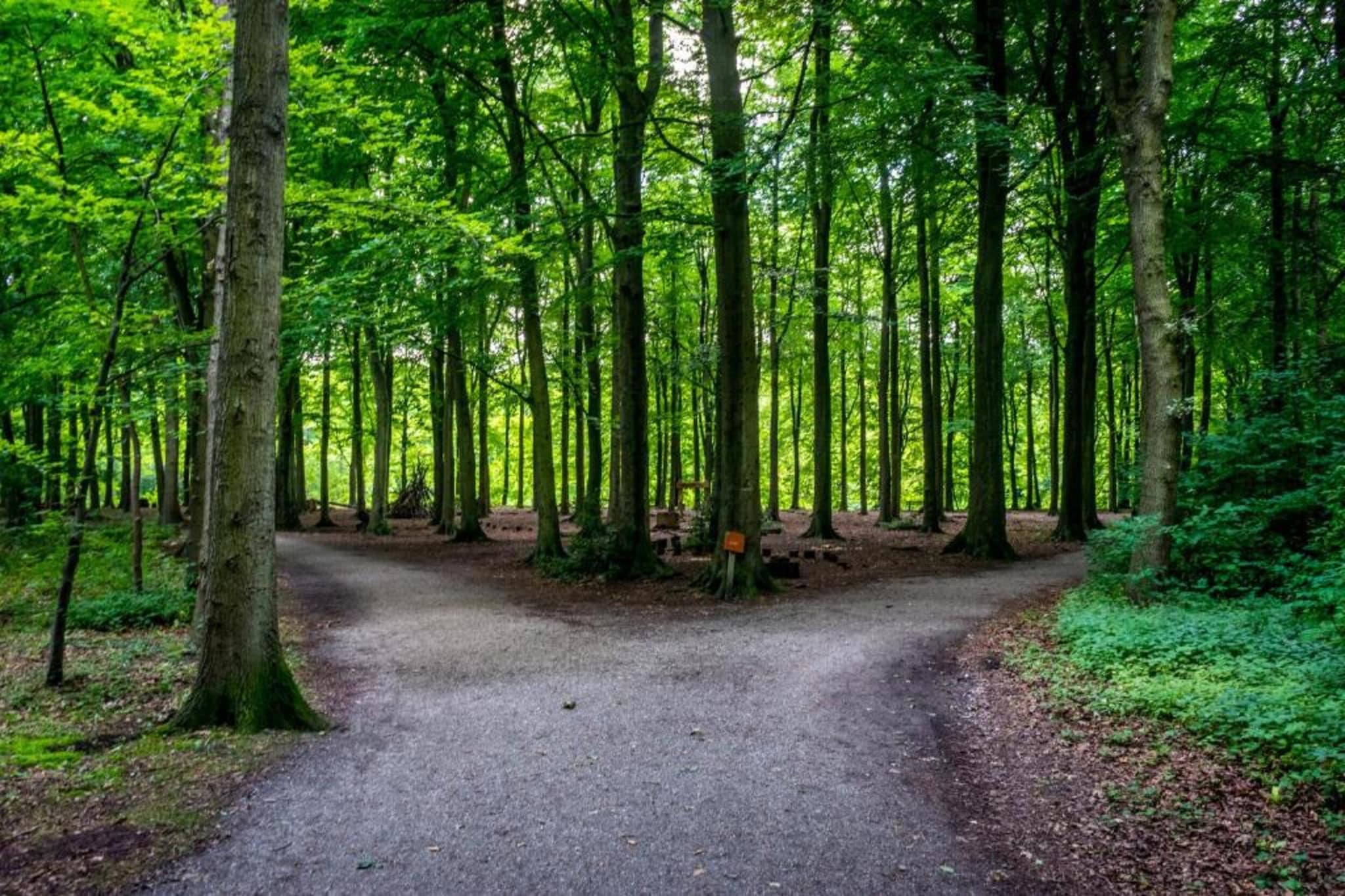 Vakantiepark Kijkduin 6-Gebieden zomer 20km