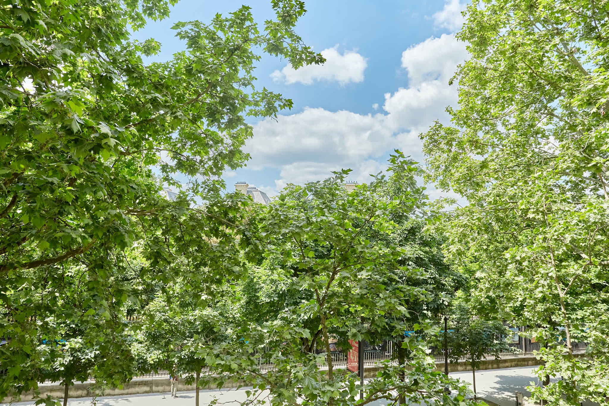 MEDICIS MX-Nicht zugeordnet