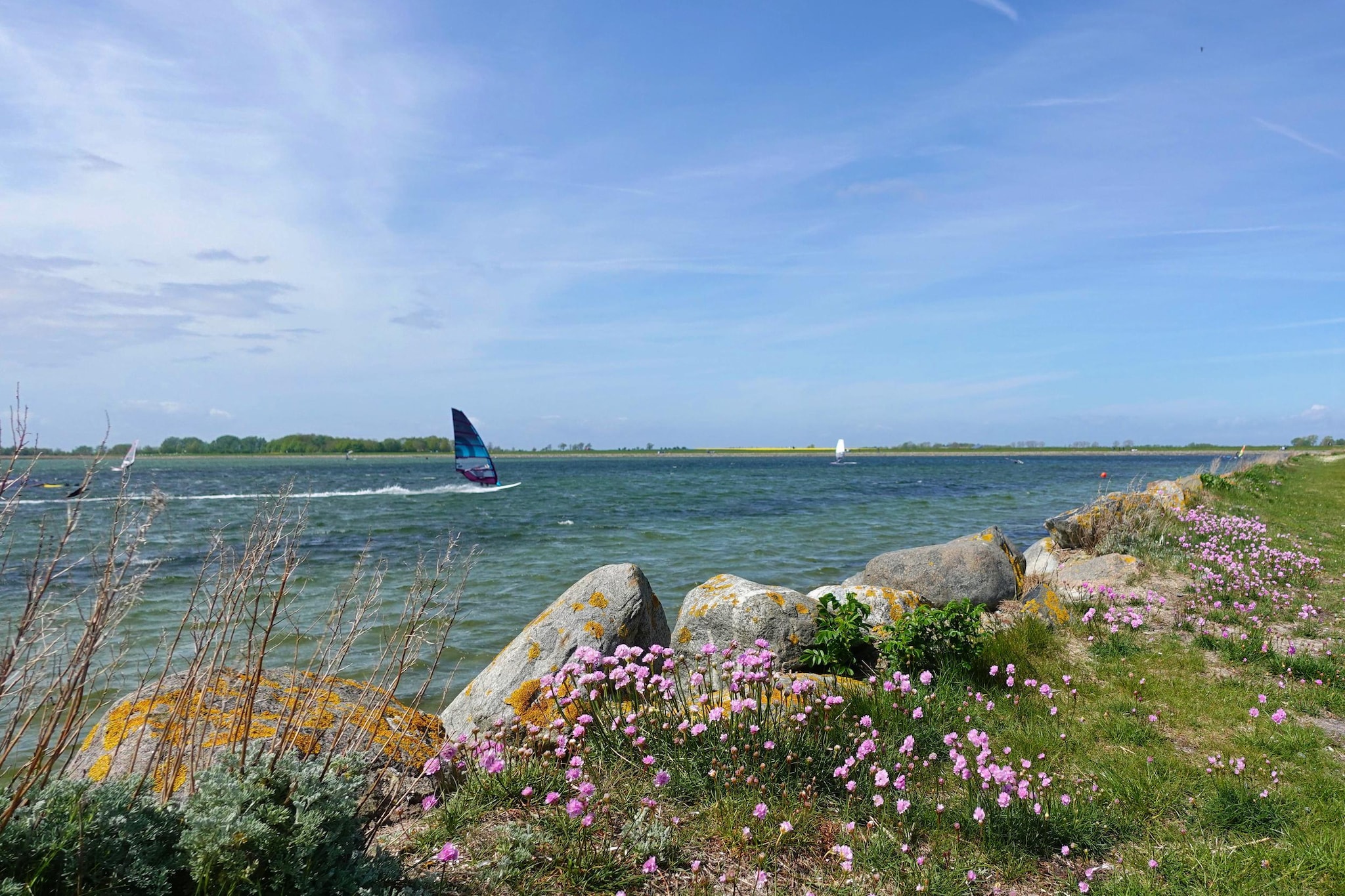 FeWo Hygge Havn-Gebieden zomer 1km