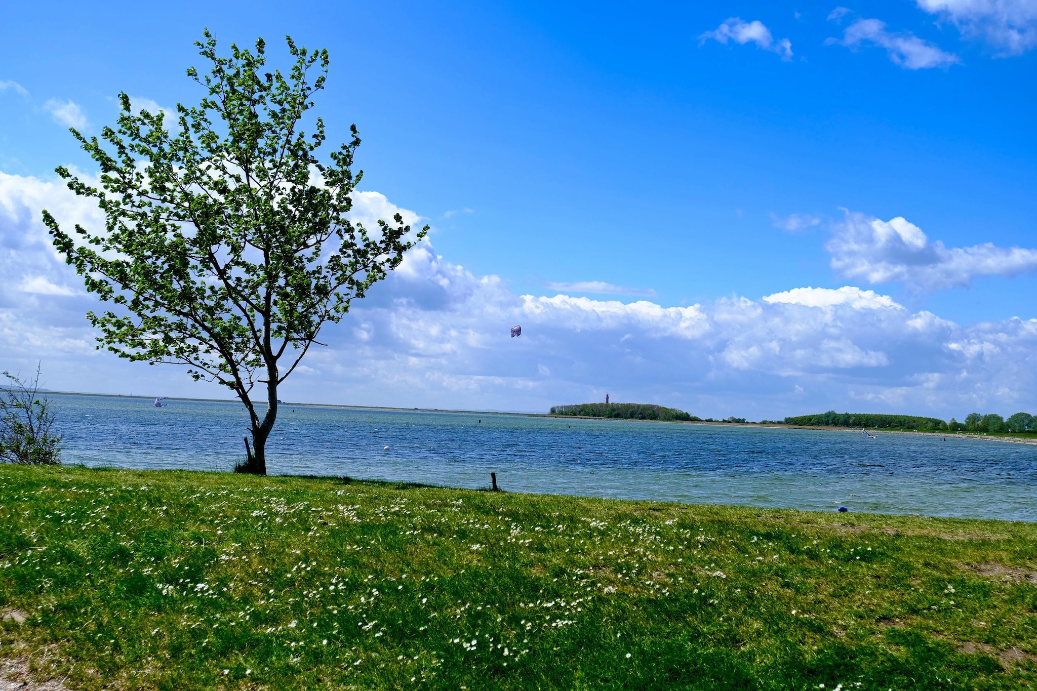 FeWo Hygge Havn-Gebieden zomer 1km
