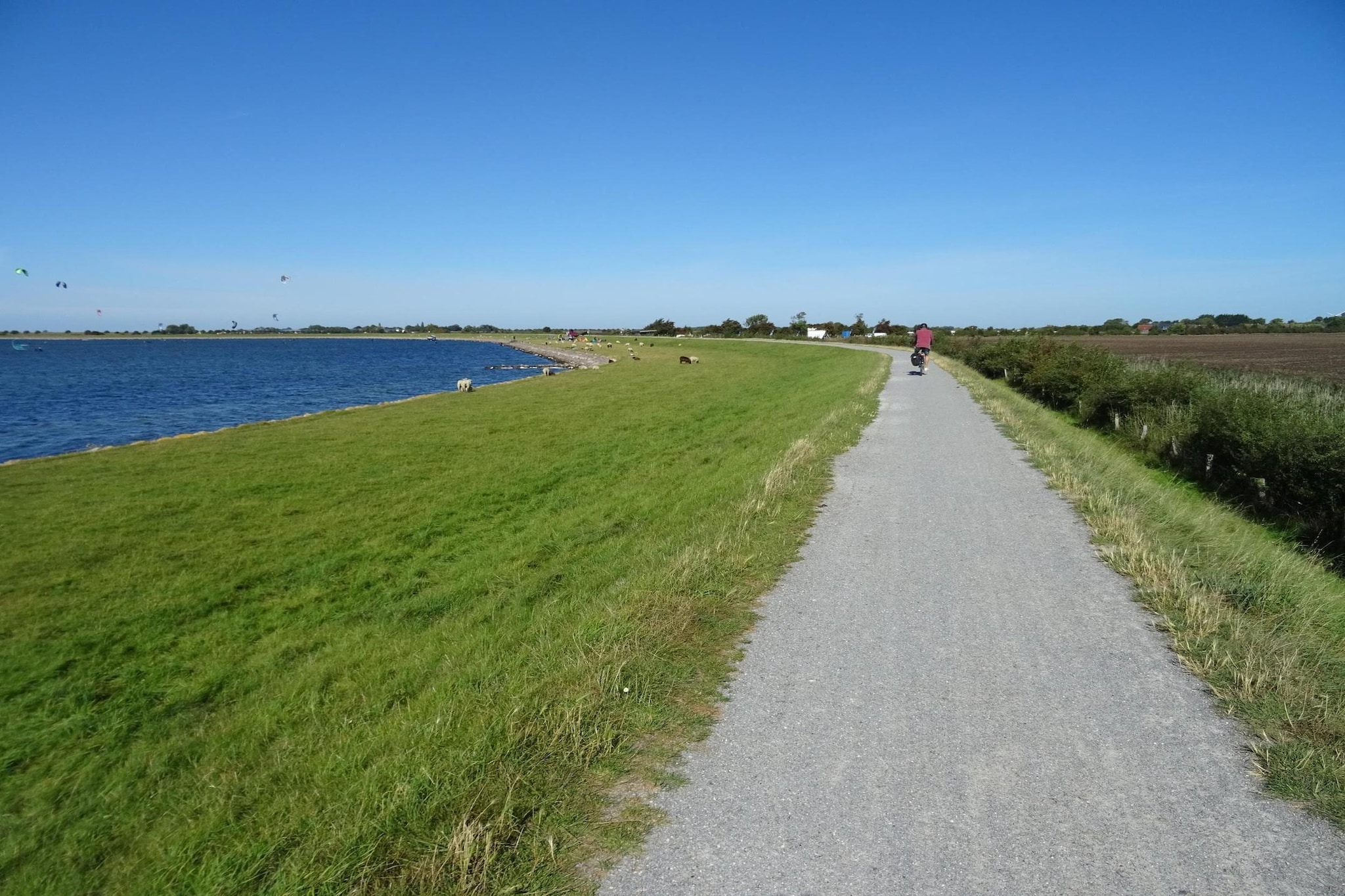 FeWo Hygge Havn - Areas within 5km in summer