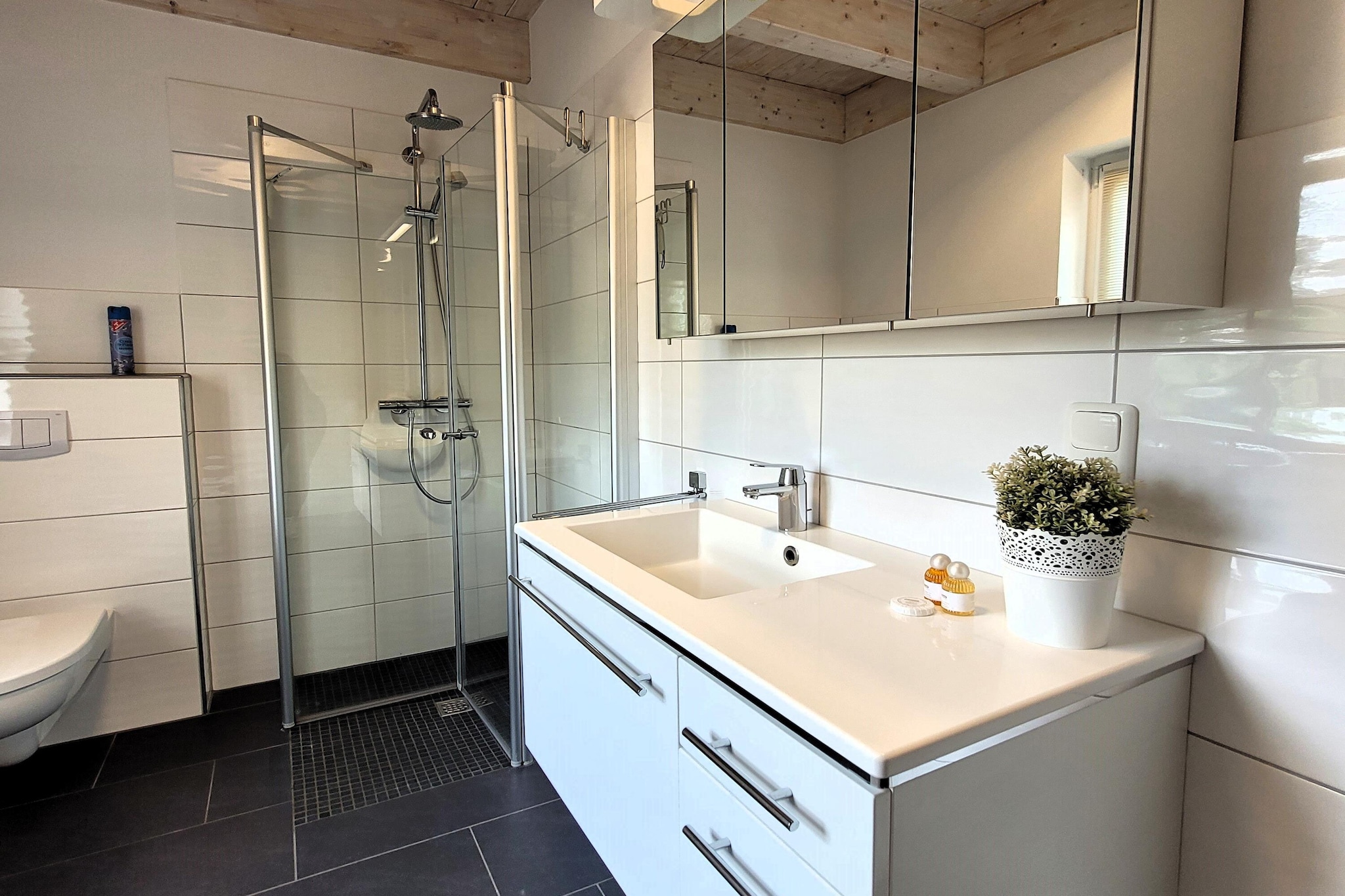 Winterberg Chalet 21096 - 6 P-Badkamer