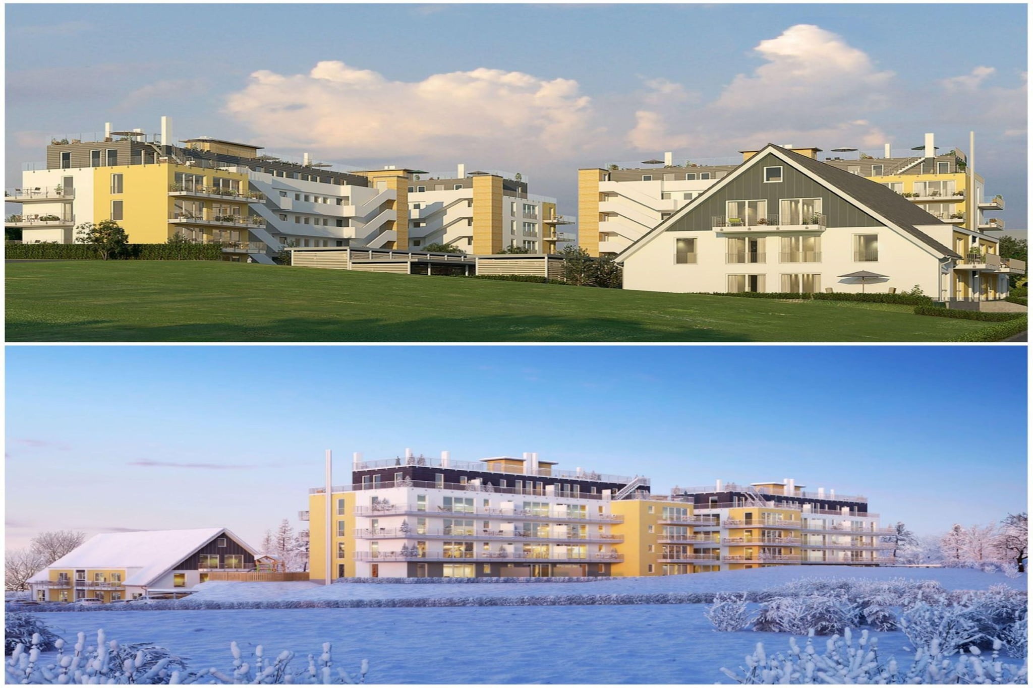 Winterberg Appartement 21126 4P