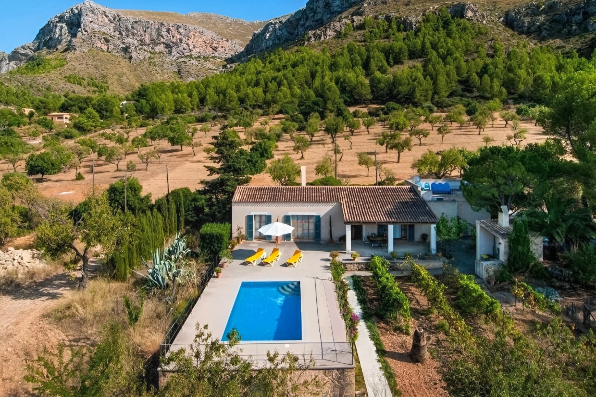 El Parral-Areas summer 1km