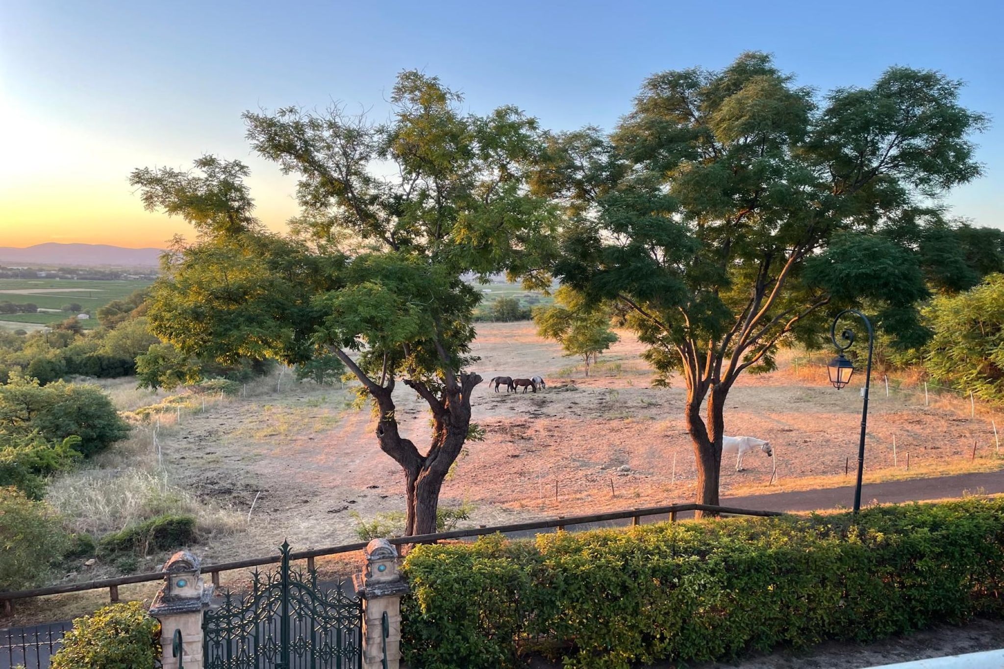 Maison de Maitre avec piscine-Vue d'été