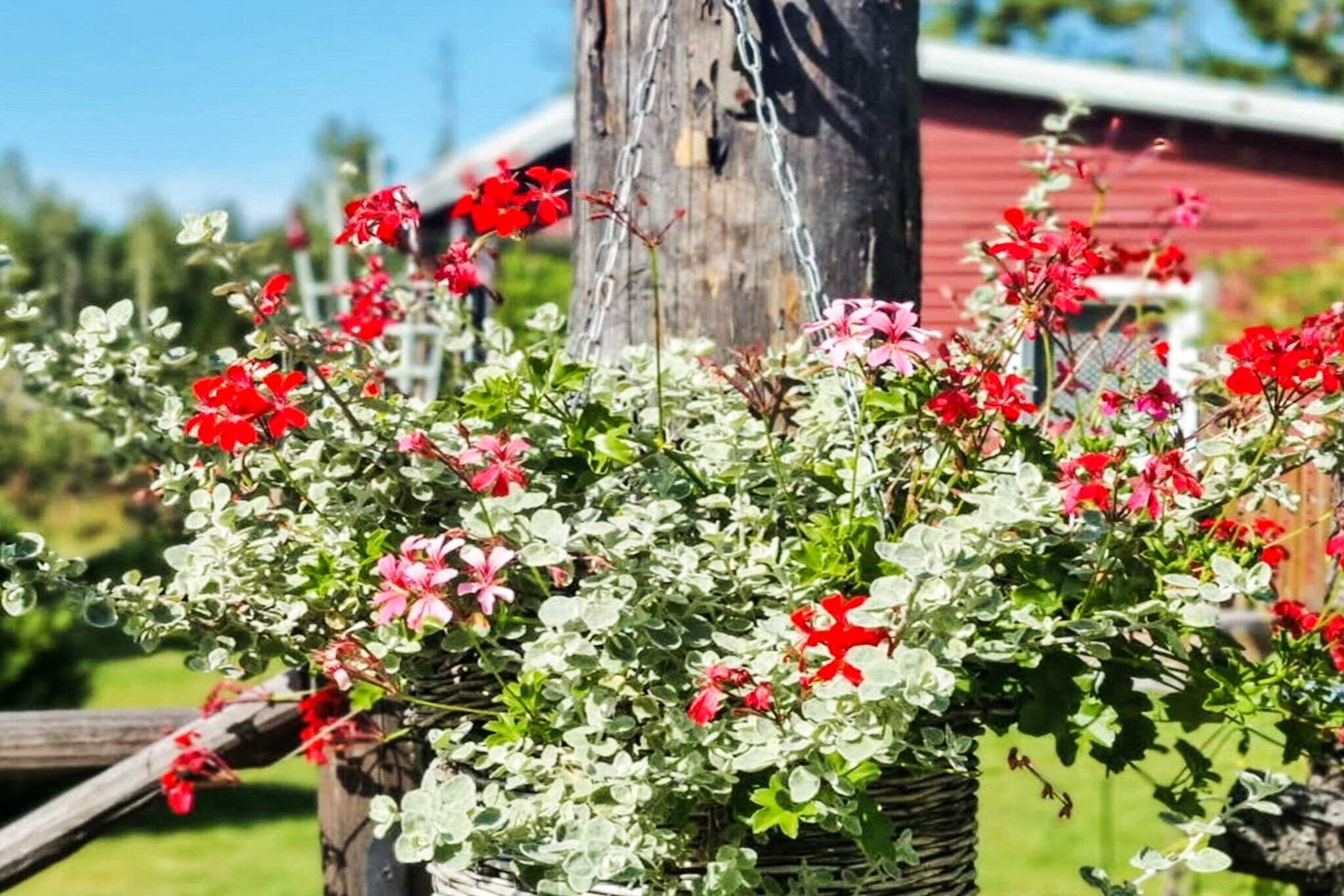 5 person holiday home in HALLSTAVIK