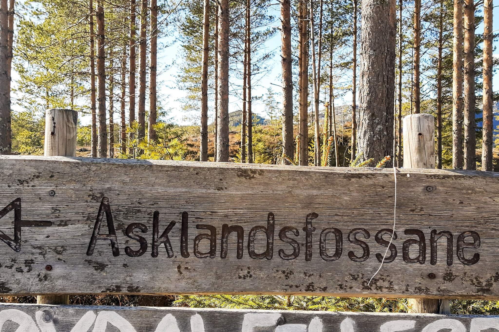 8 Personen vakantie huis in Åmli-Niet-getagd